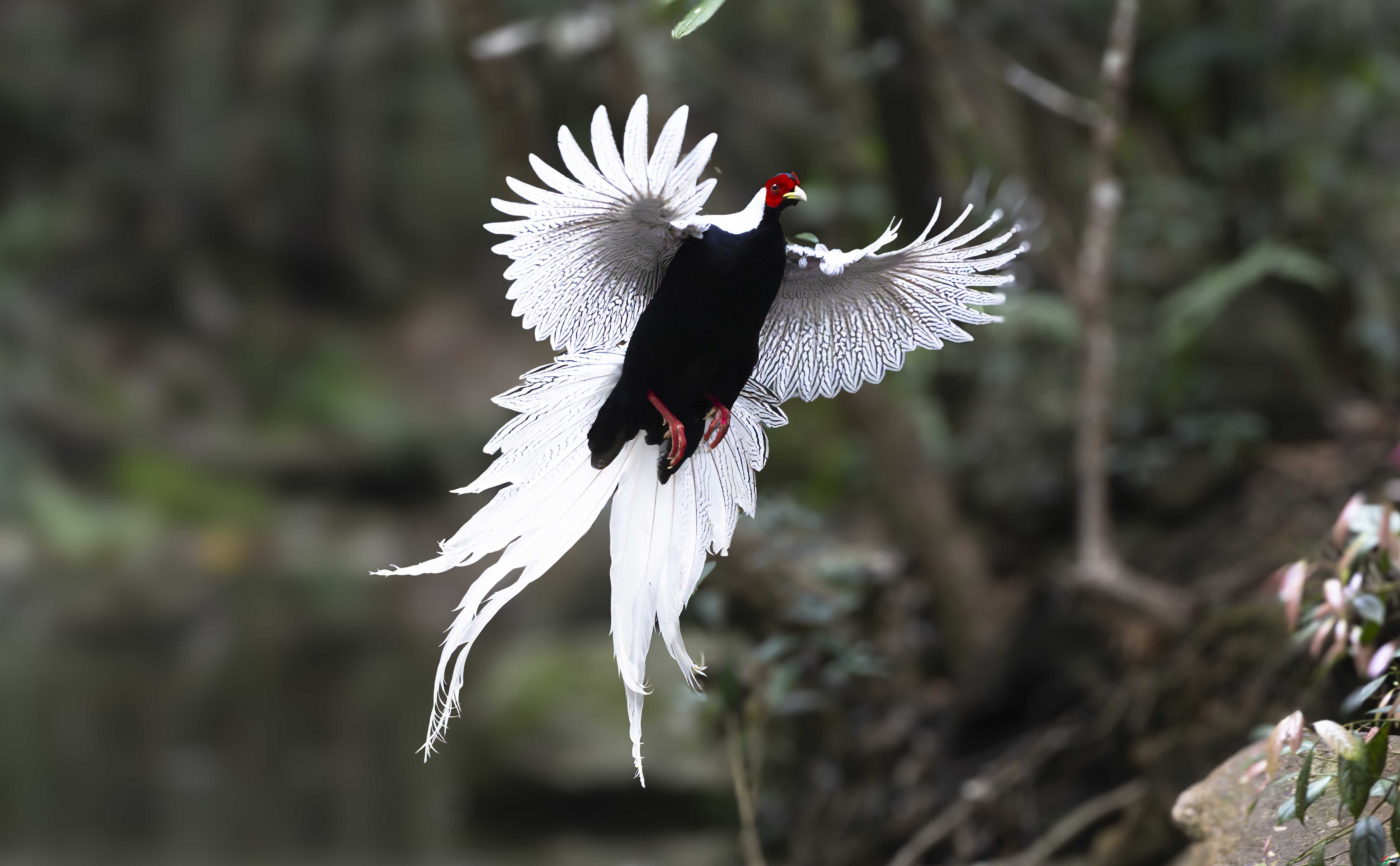 _DSC8494 ����.jpg