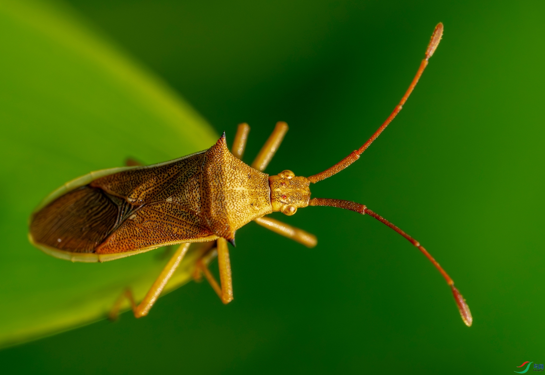 P4034117 ����_����.jpg