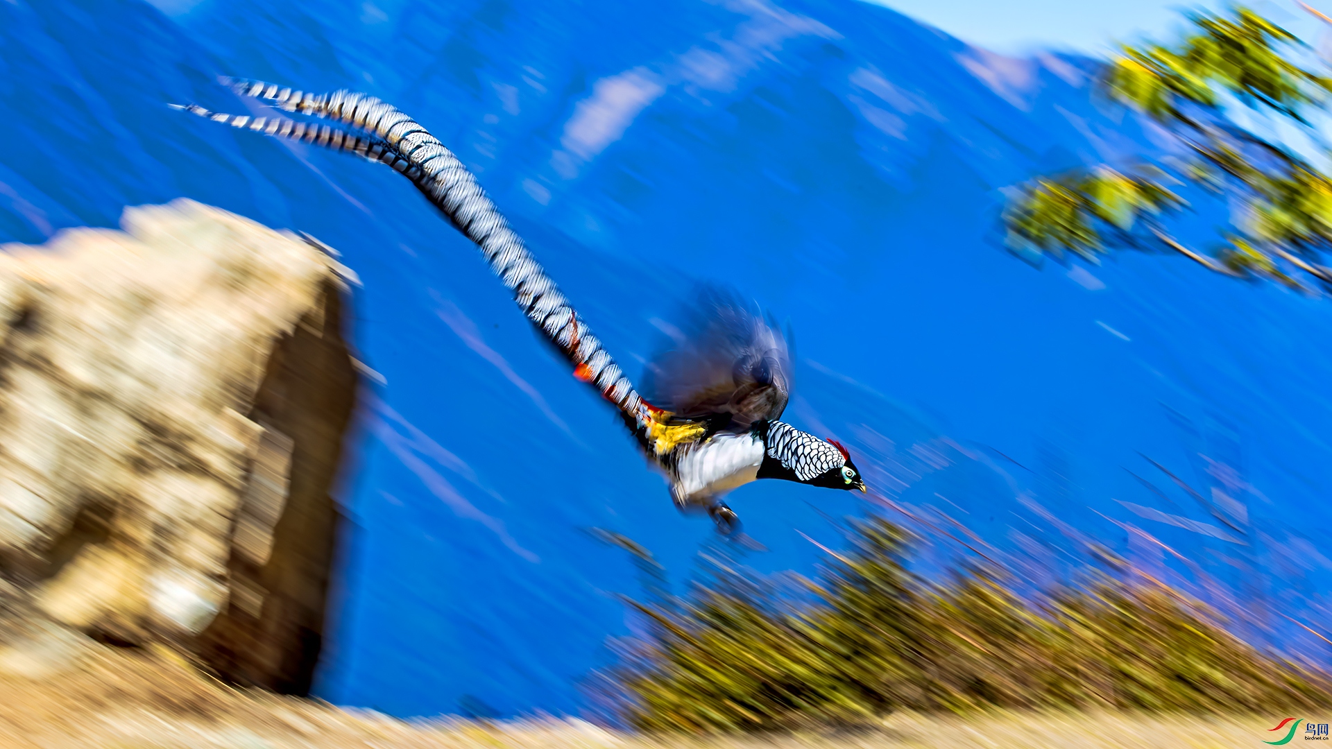 398A2166-����ǿ-NR ����.jpg