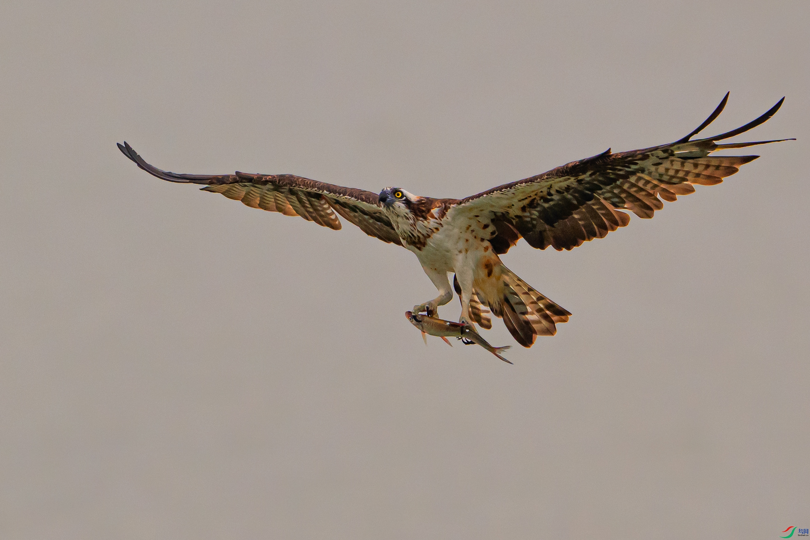 DSC_7575 .jpg