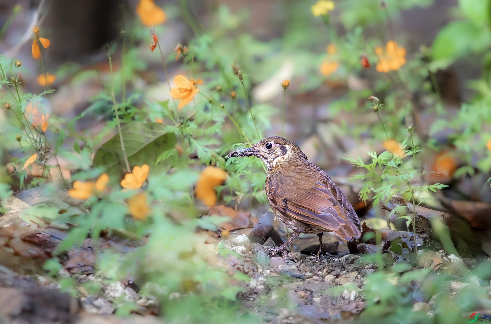 _26_2607 ����.jpg