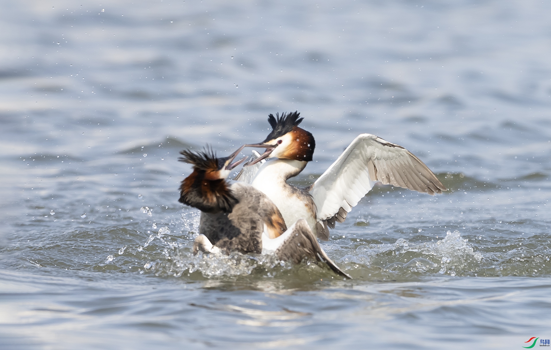 019A5182 ����2.jpg