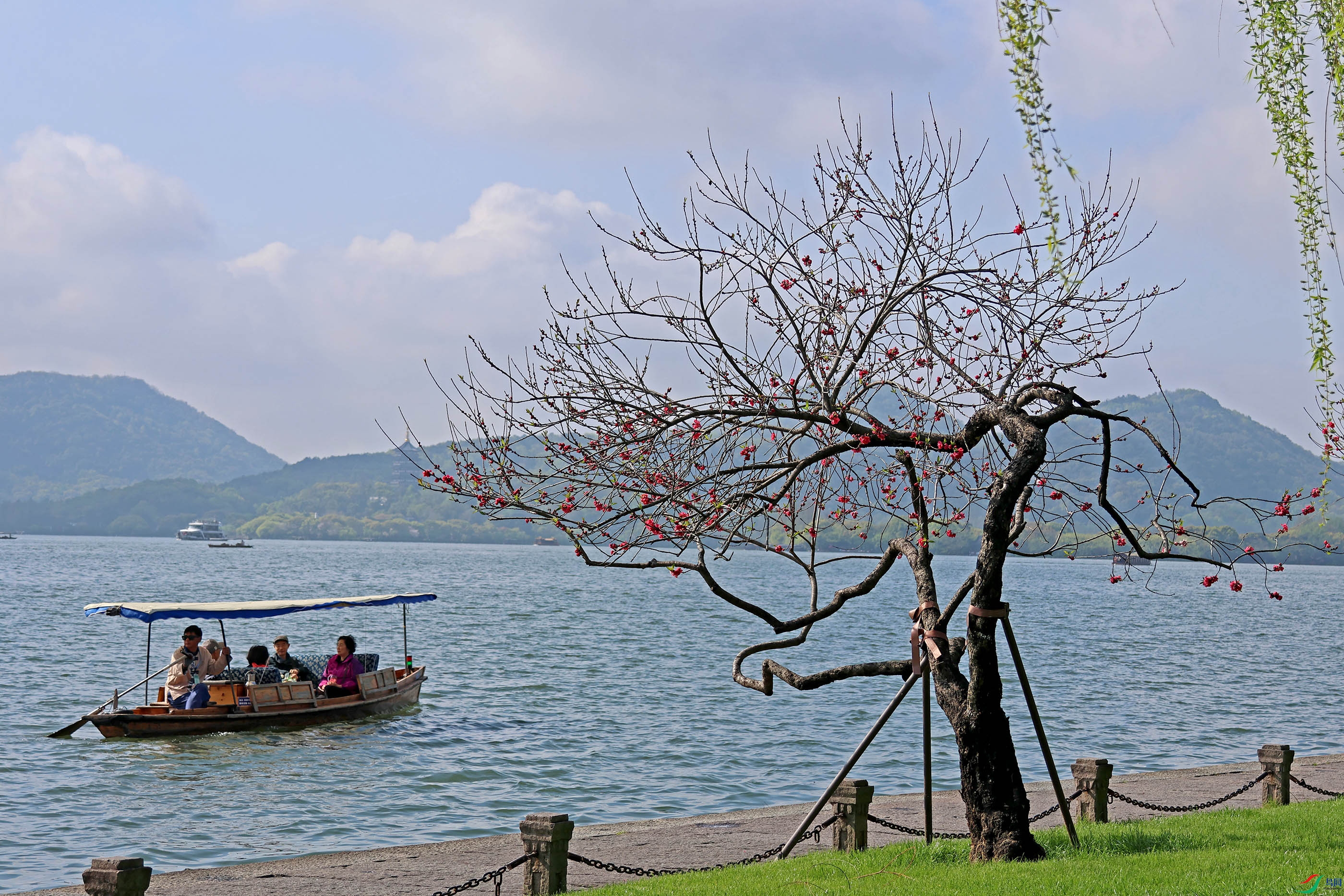 2G9A3870.JPG