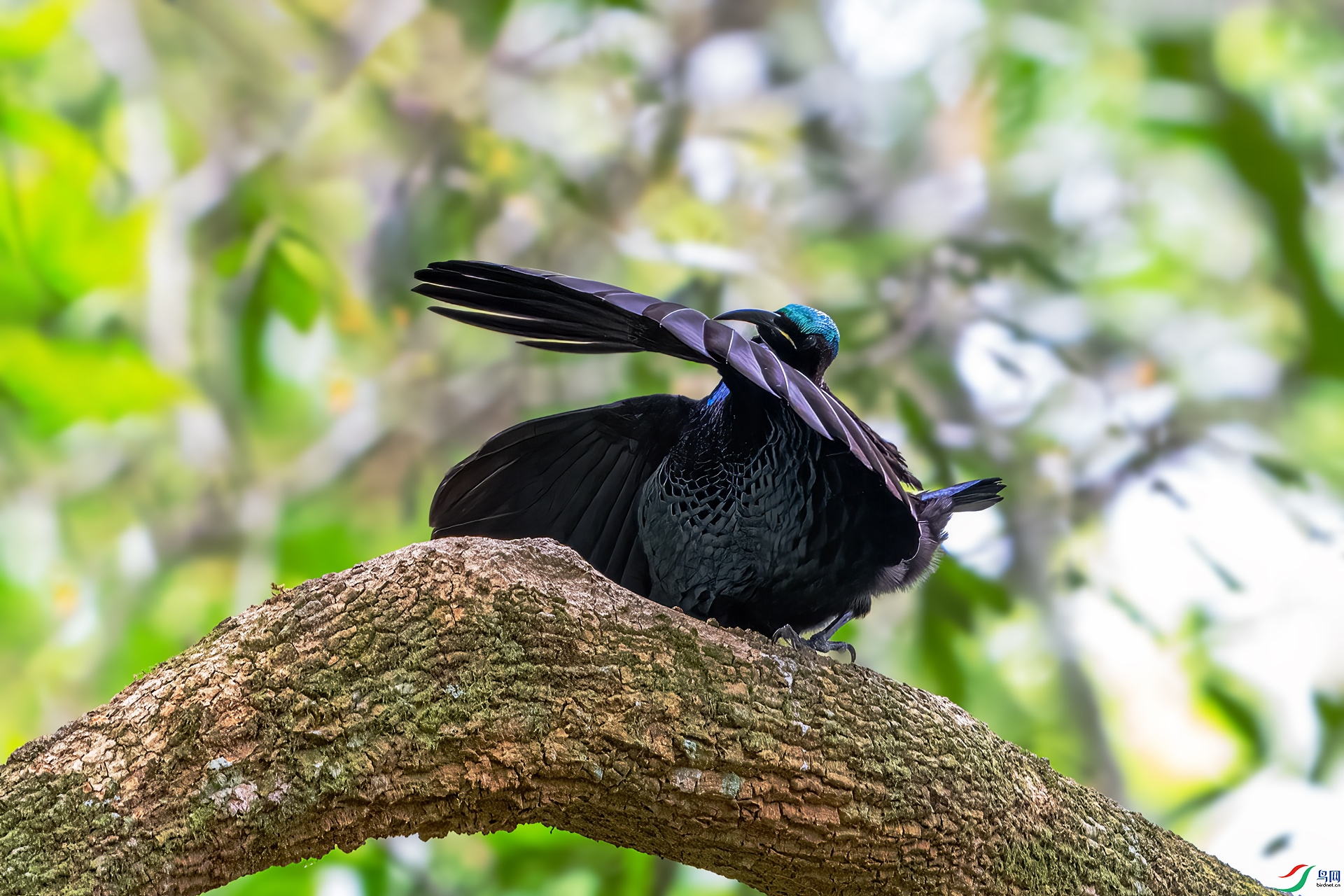 DSC_7093.jpg