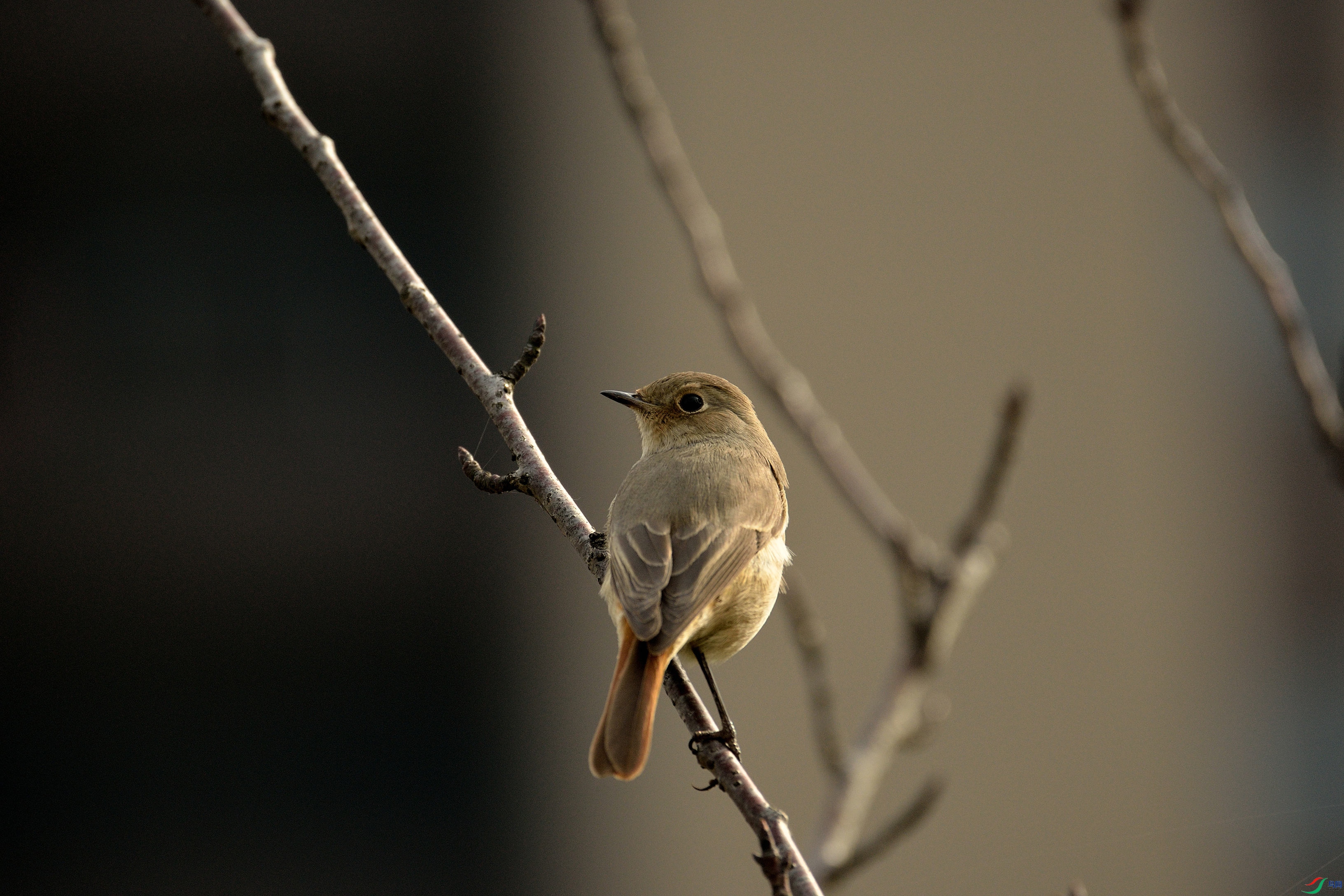 DSC_3977_����.jpg