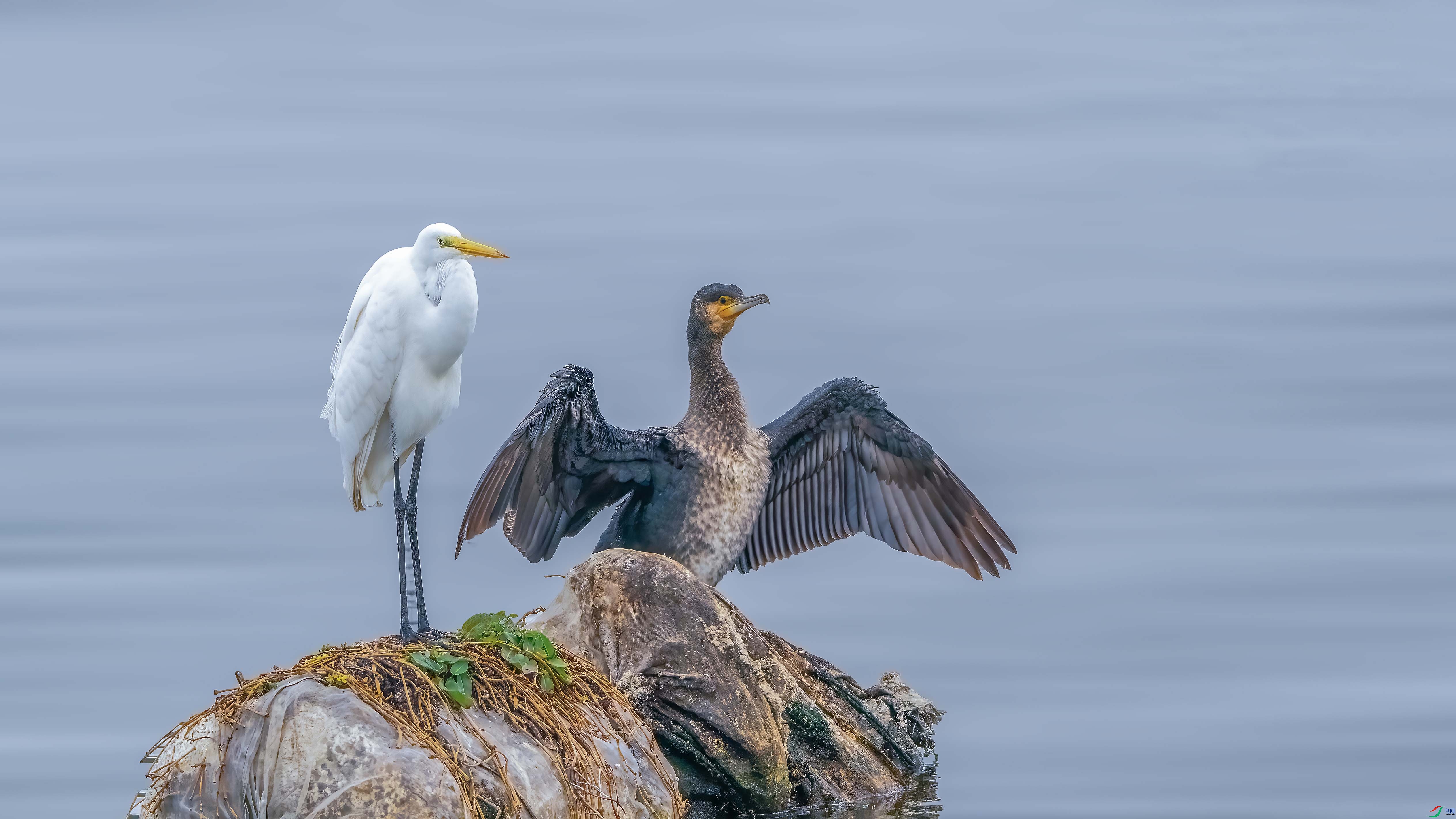 _ZZX4518 ���� 2.jpg