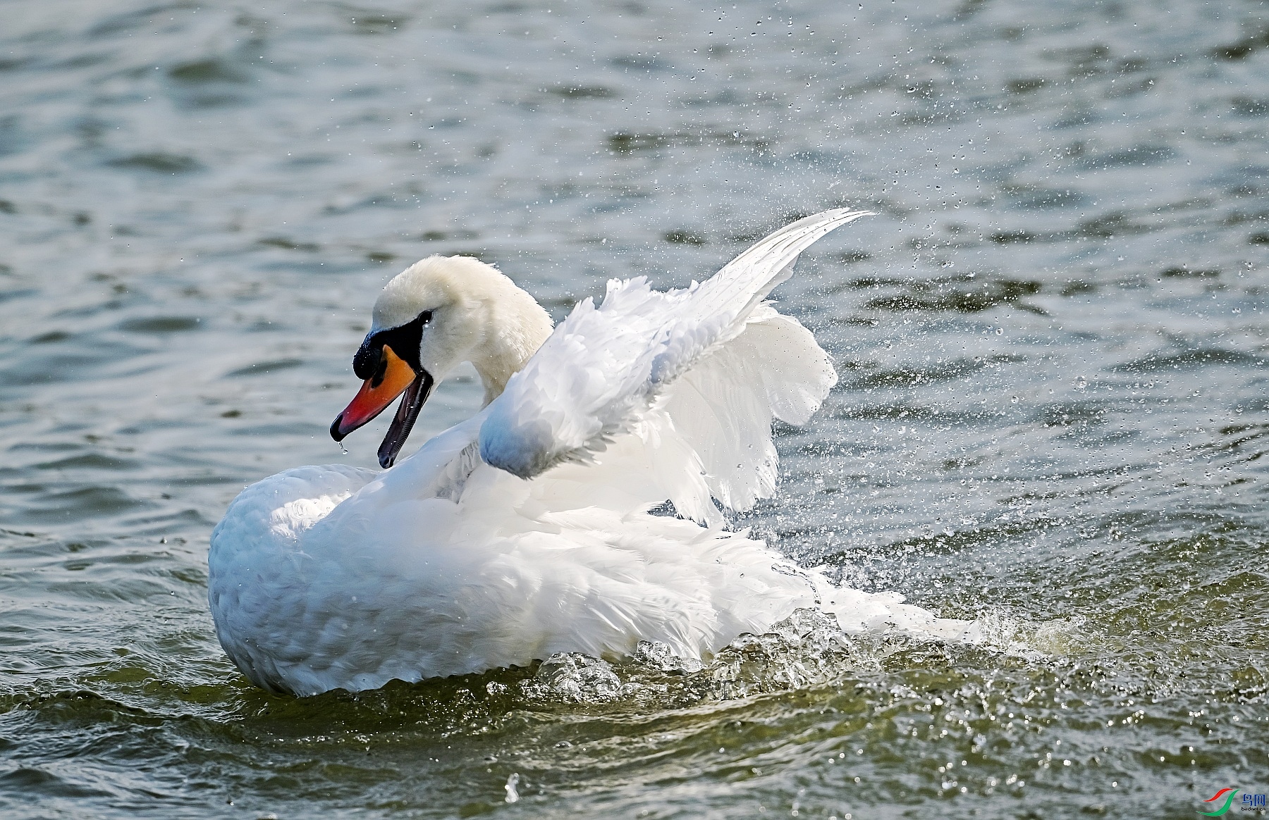 DSC_7892ϴԡ.jpg