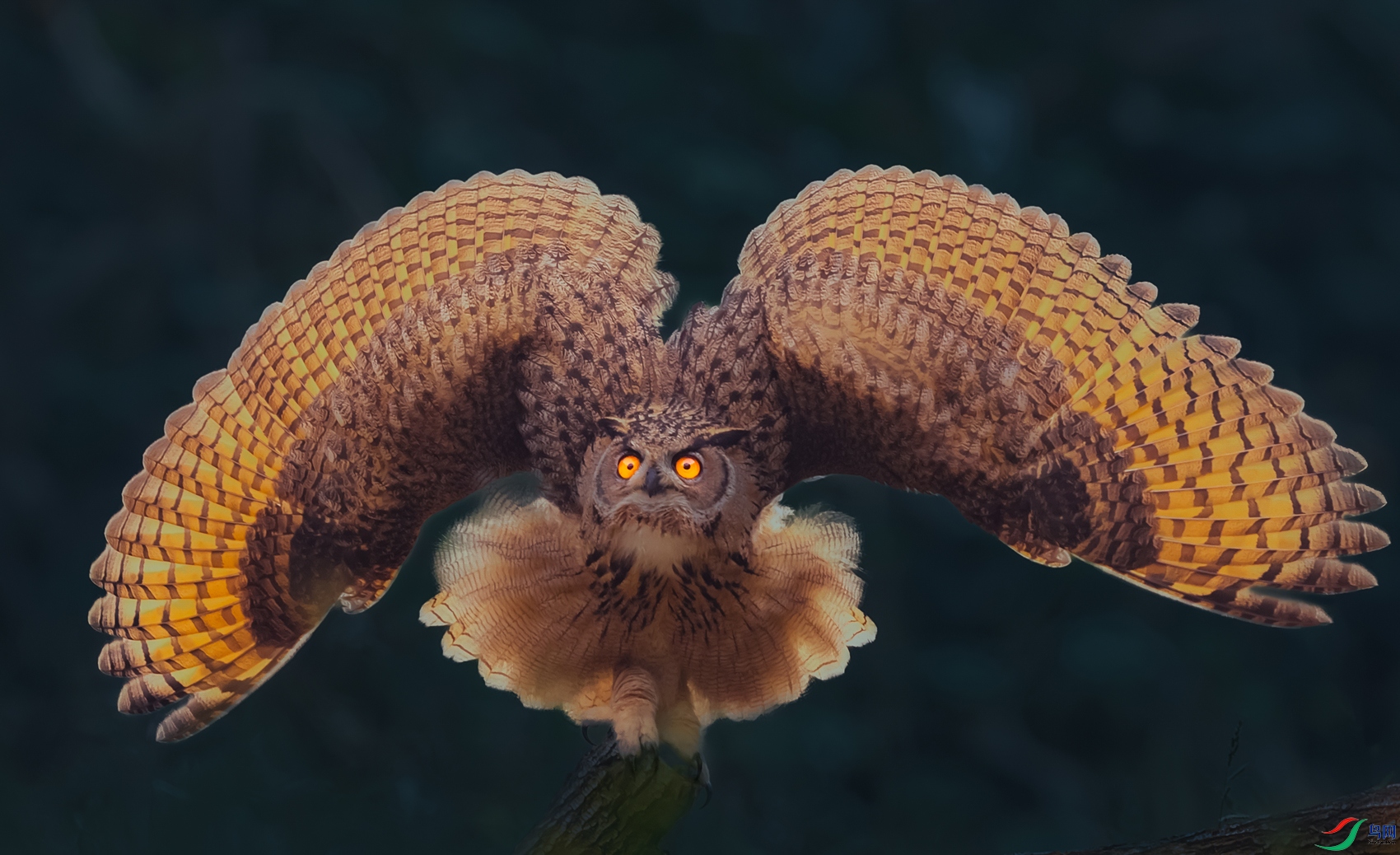 ���^----˭ʶ�乭�Ǵ��