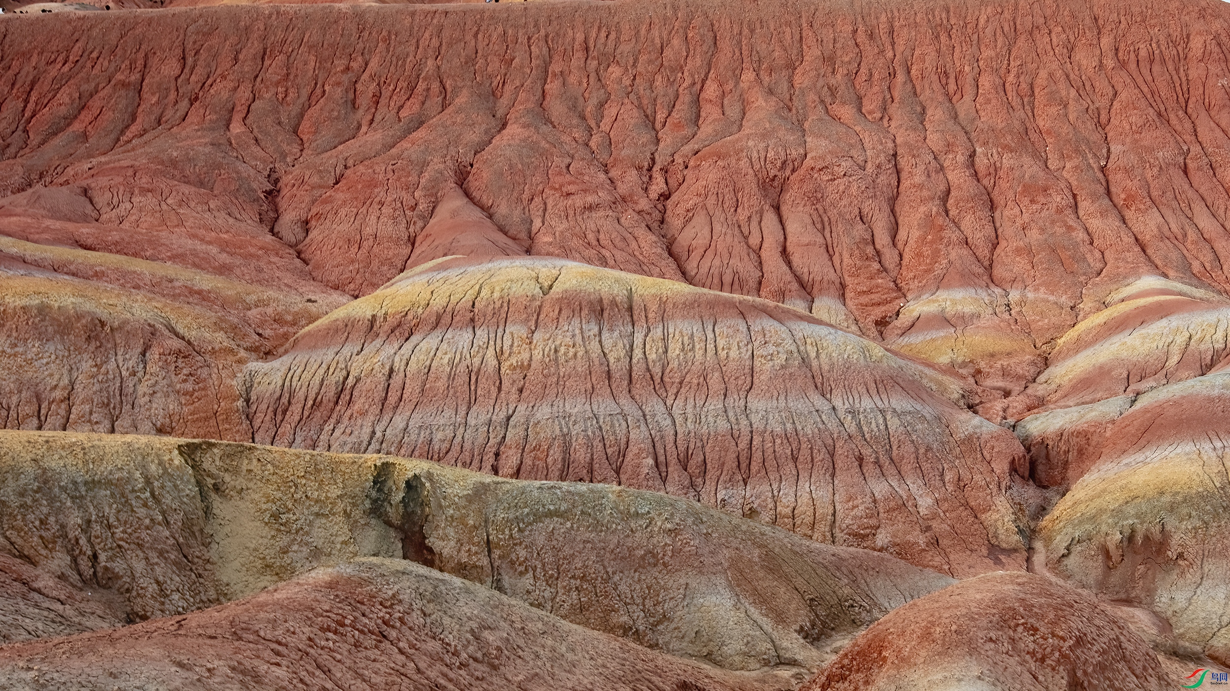 CB0A2114 ����.jpg