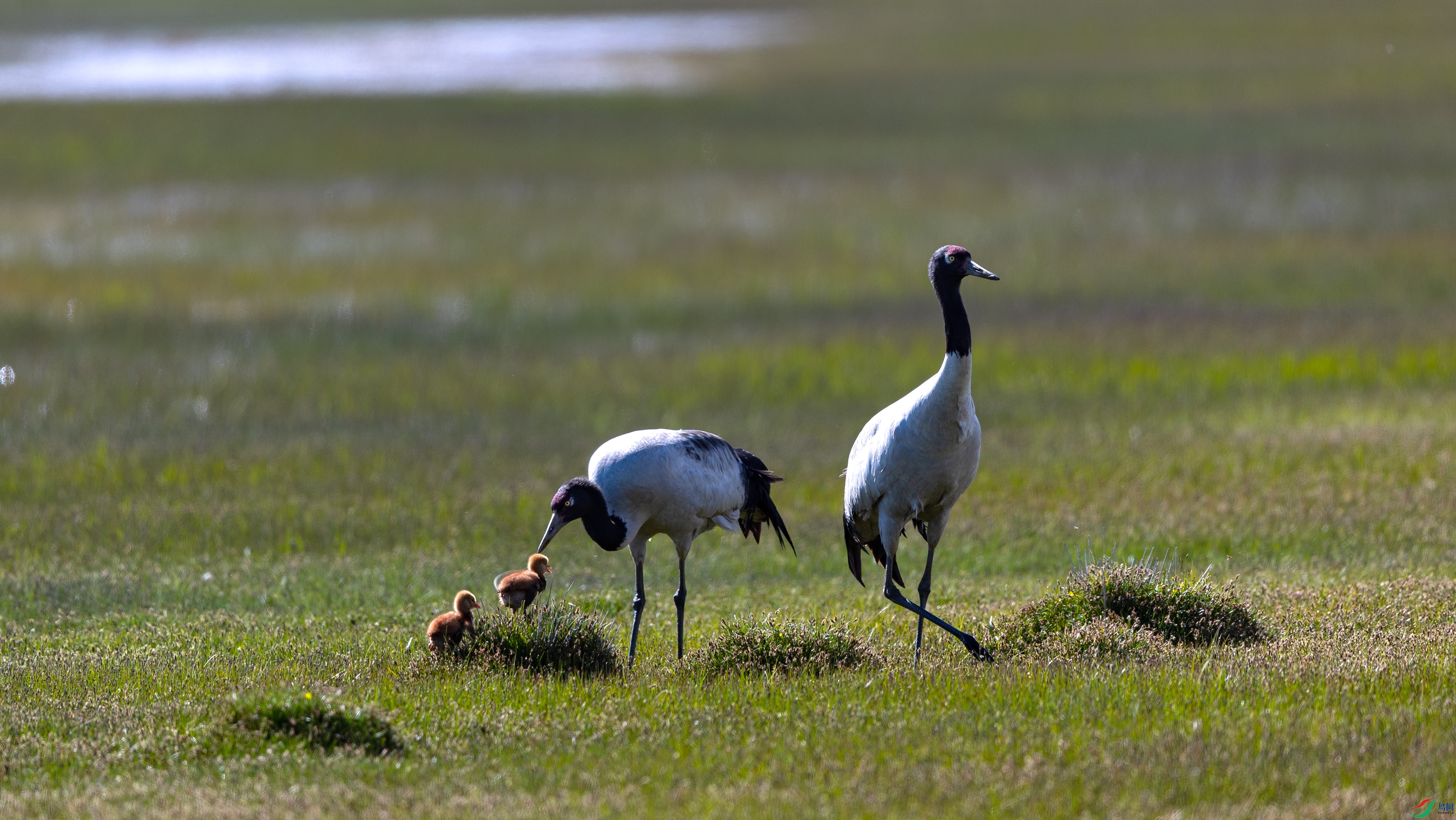 ��ů�ļ� 2.jpg