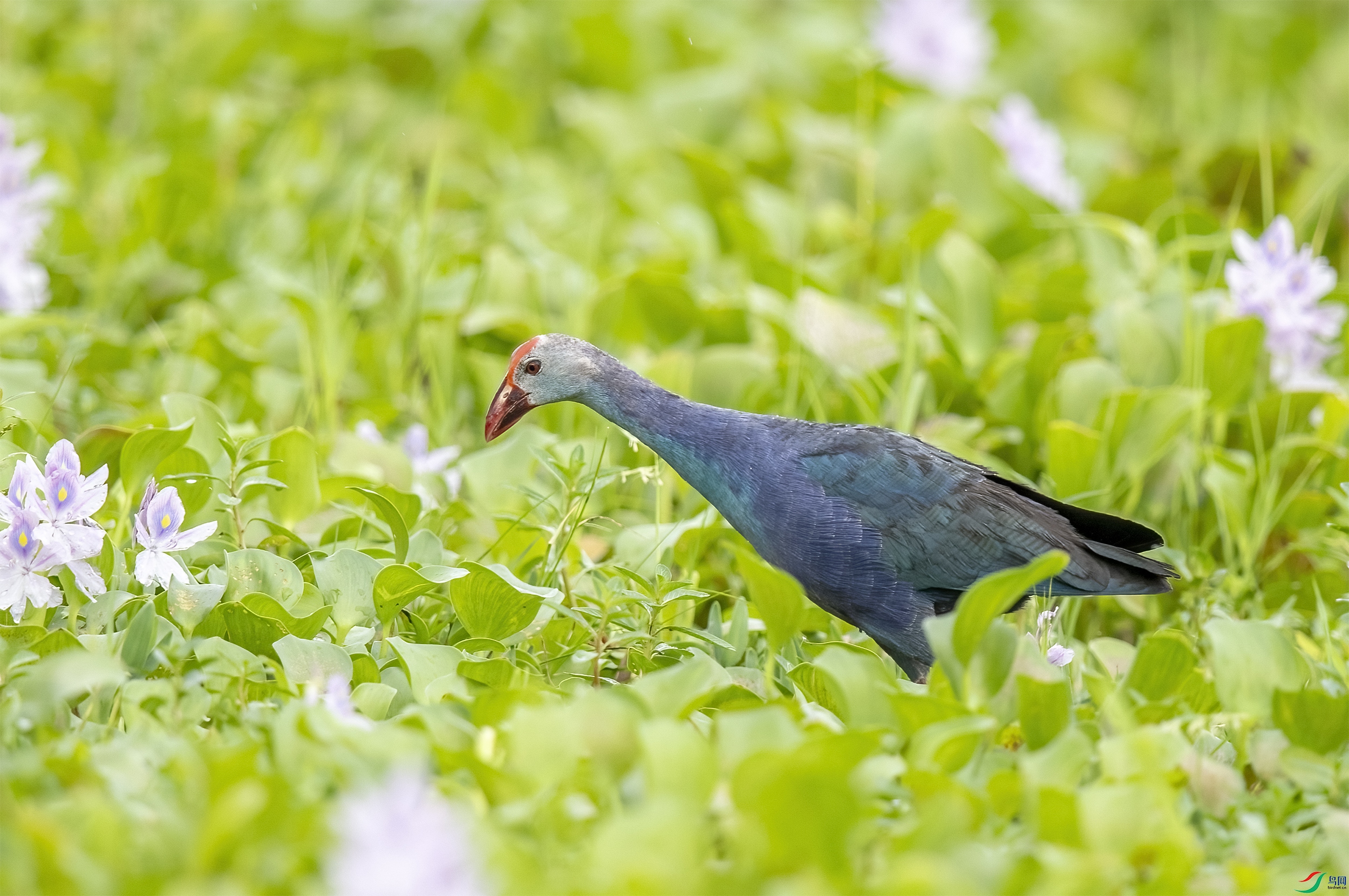 AC3I5836 ����.jpg