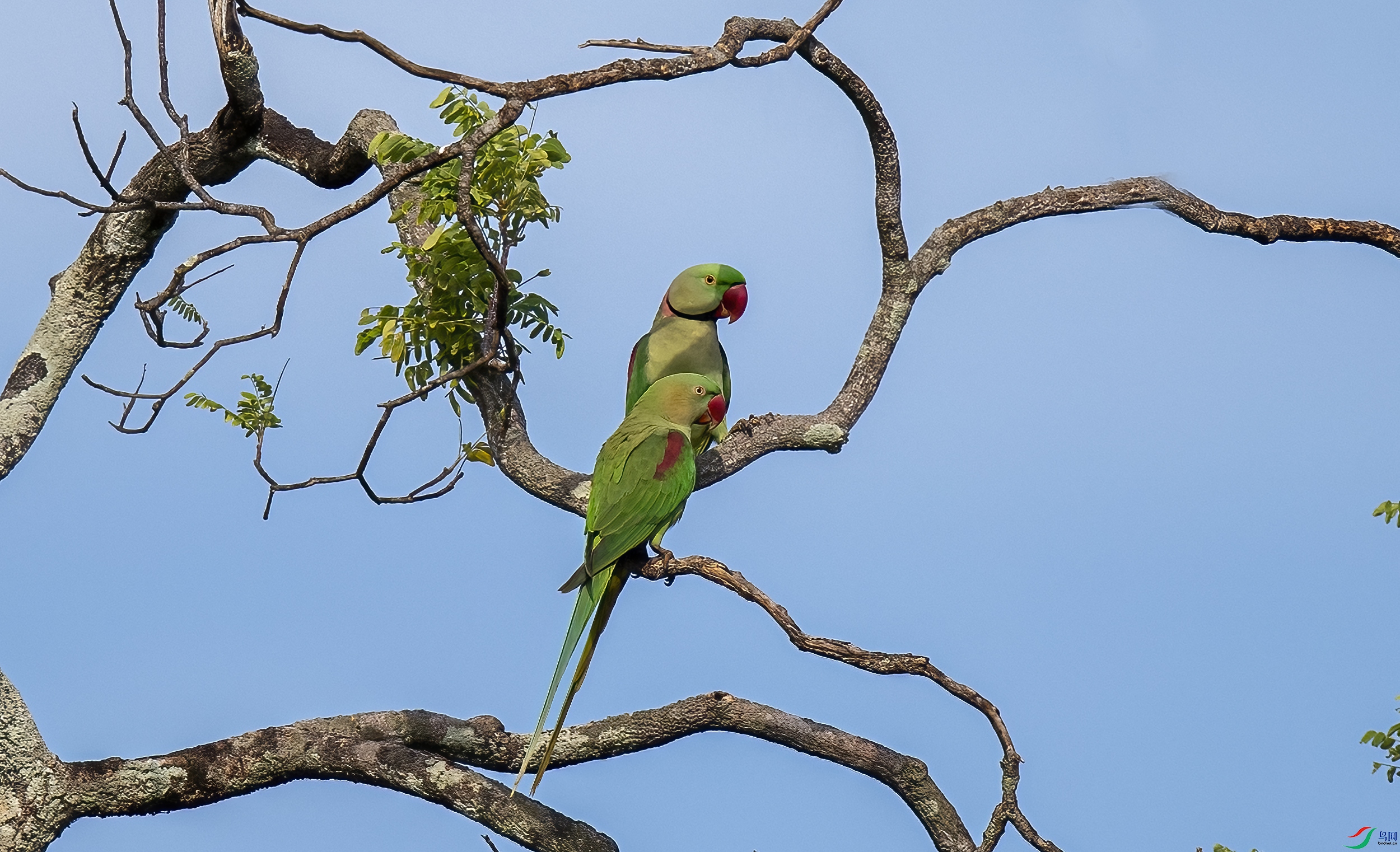 AC3I3506 ����.jpg