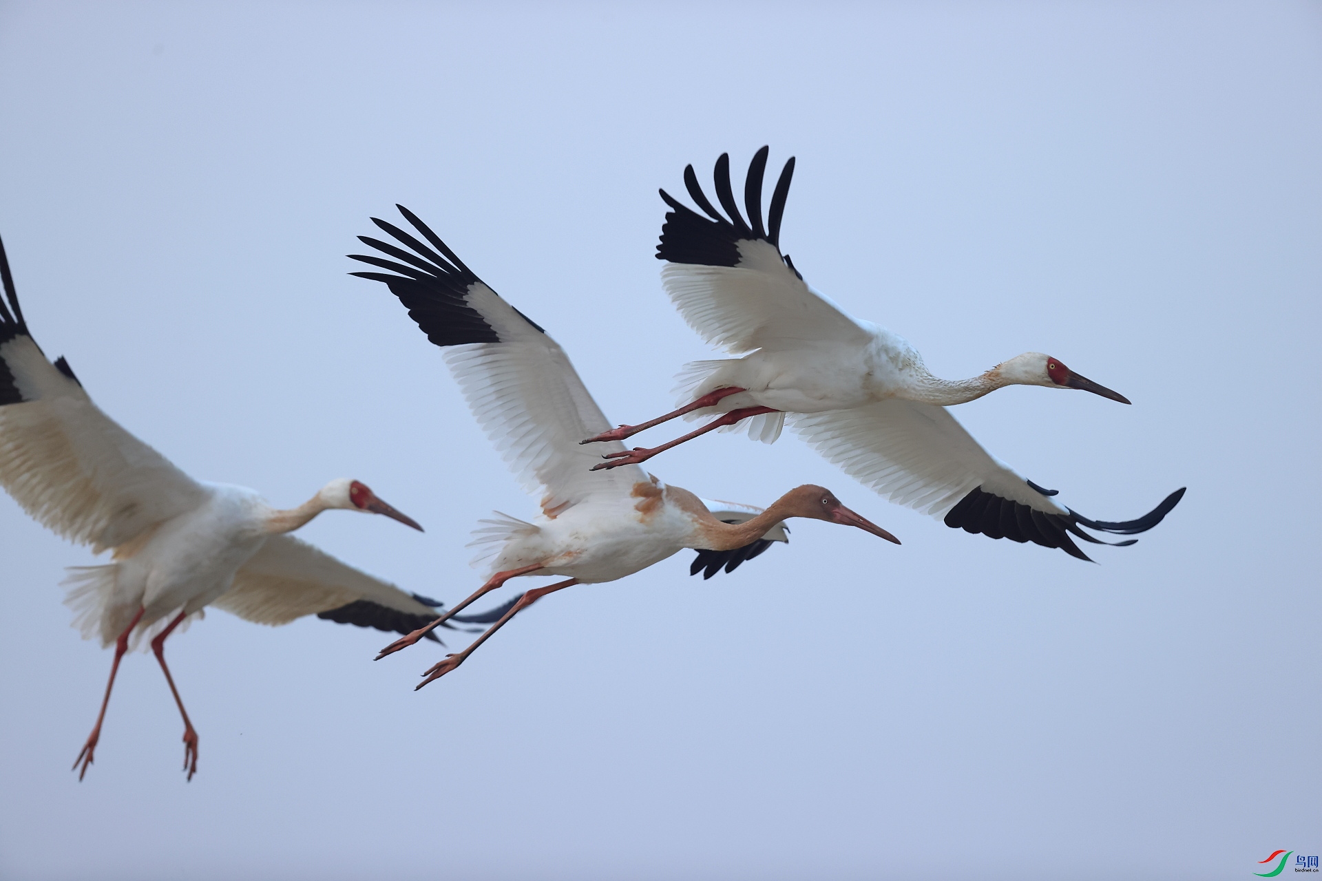 AC1I6602��.JPG