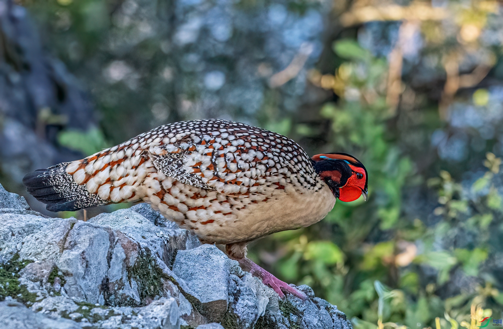 DSC_8320-11.jpg