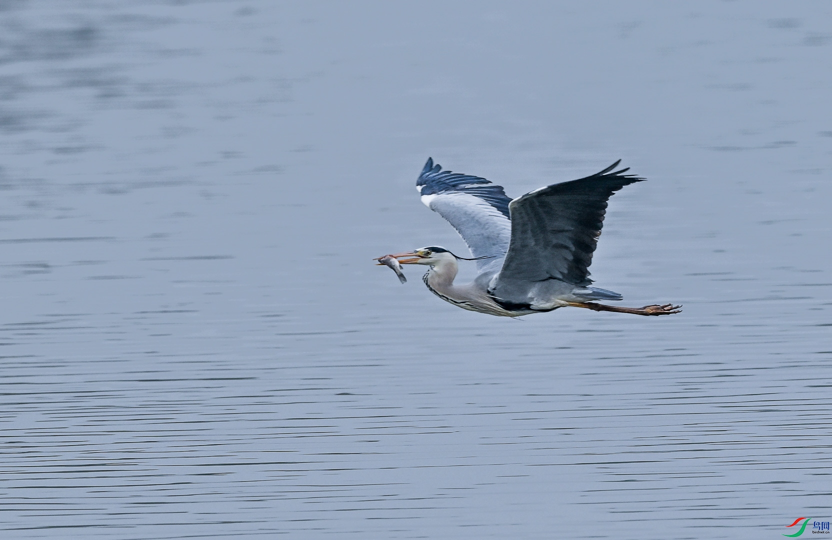 DSC_4751_1.jpg