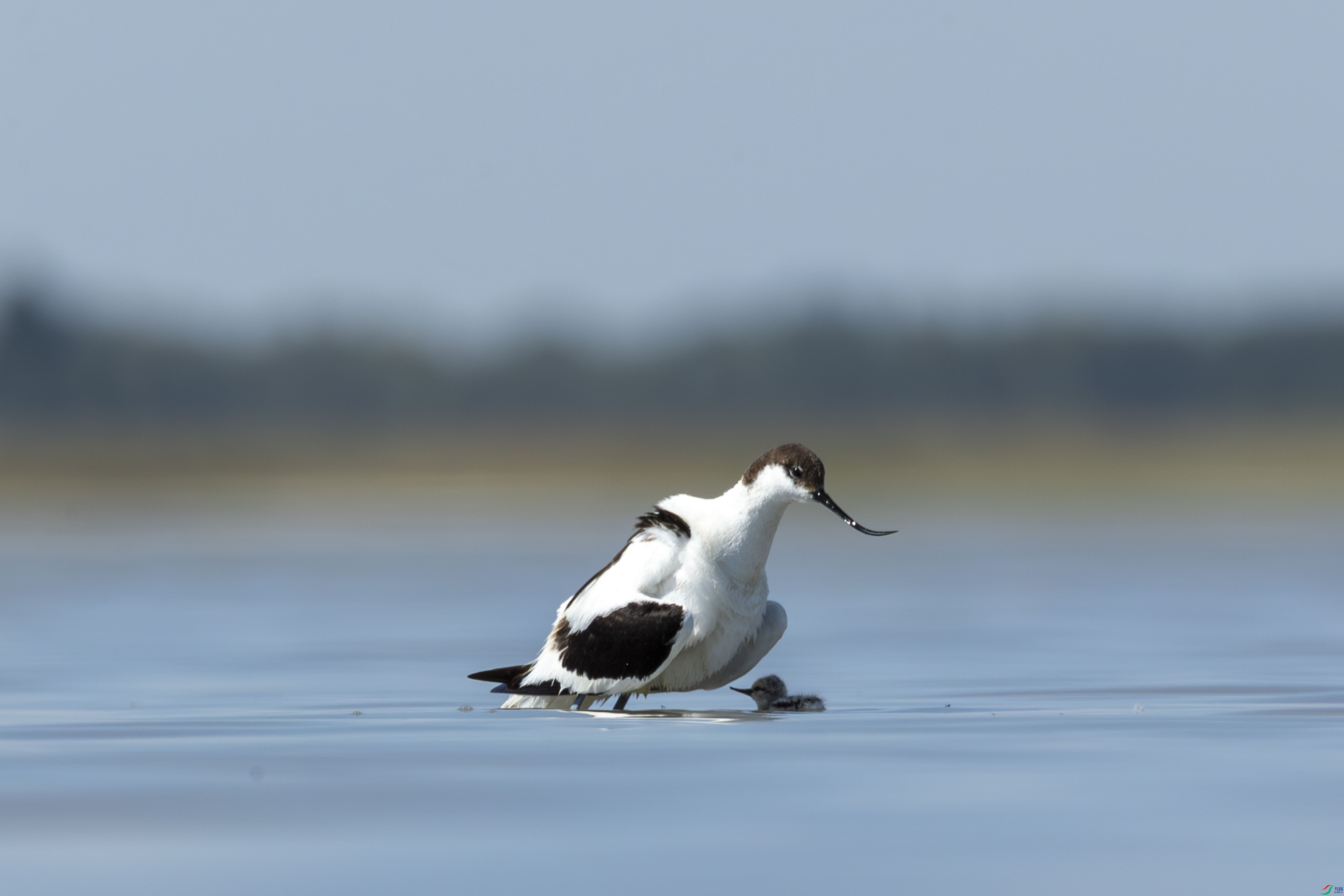 WGX_0315_1.jpg