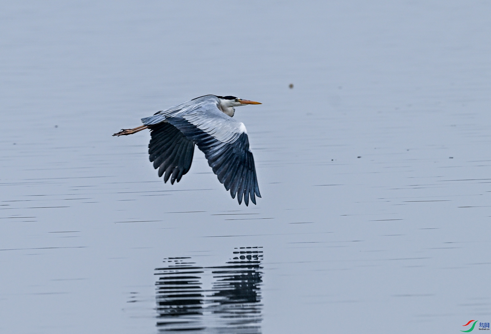 DSC_4796_2.jpg