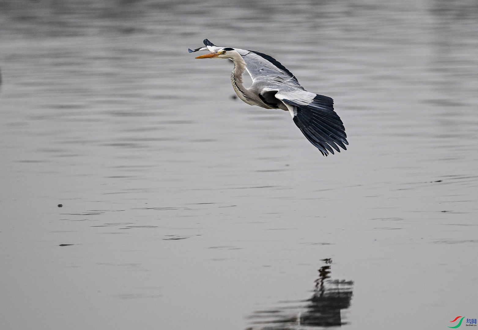 DSC_5120_1.jpg
