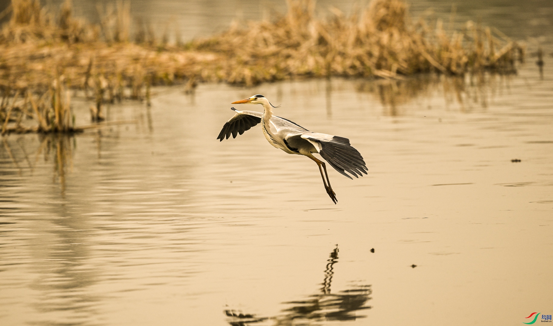DSC_5122_1.jpg