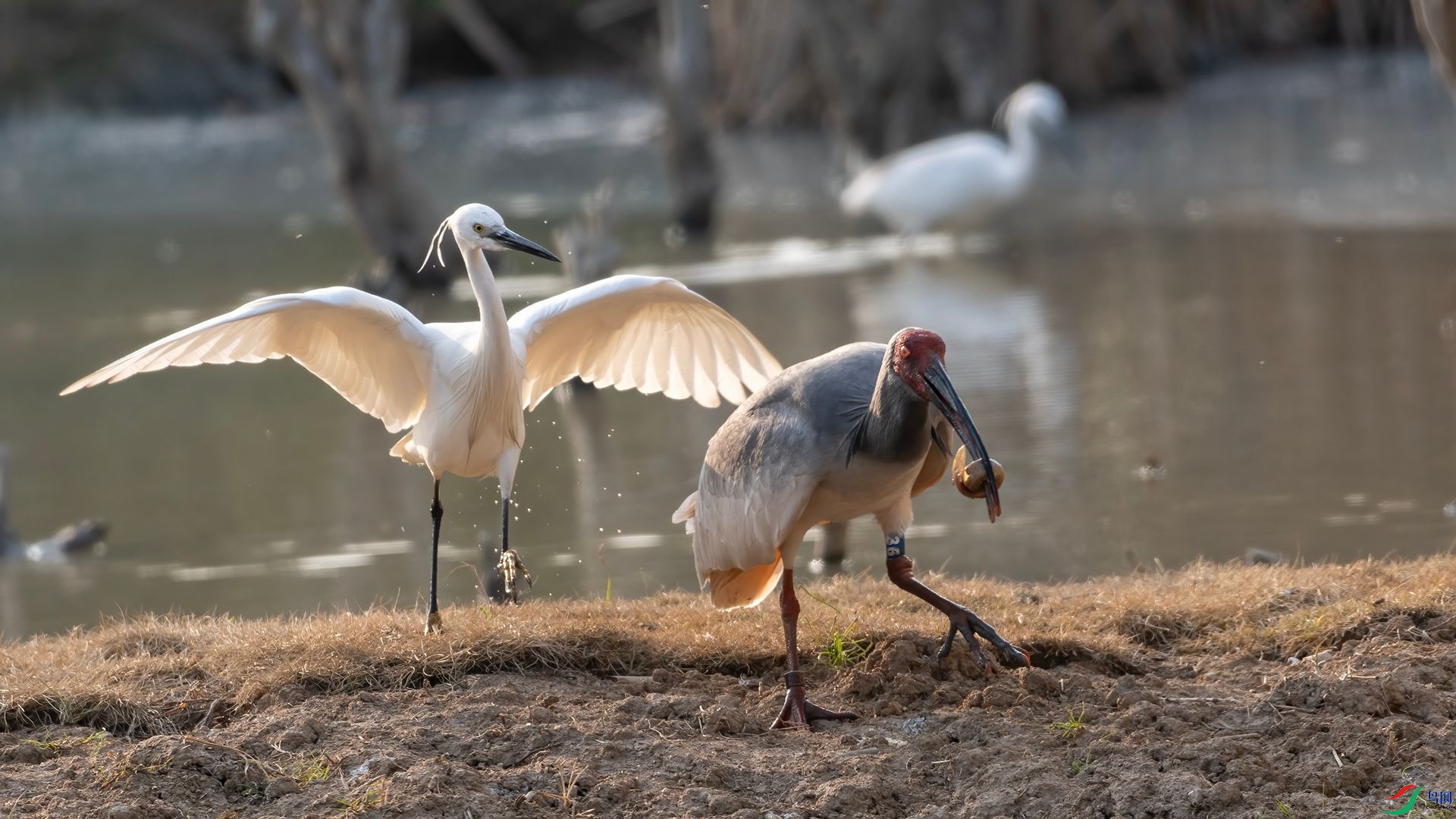 _DSC6311 ����.jpg