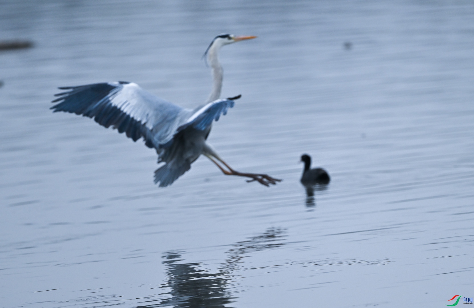 DSC_5039_1.jpg