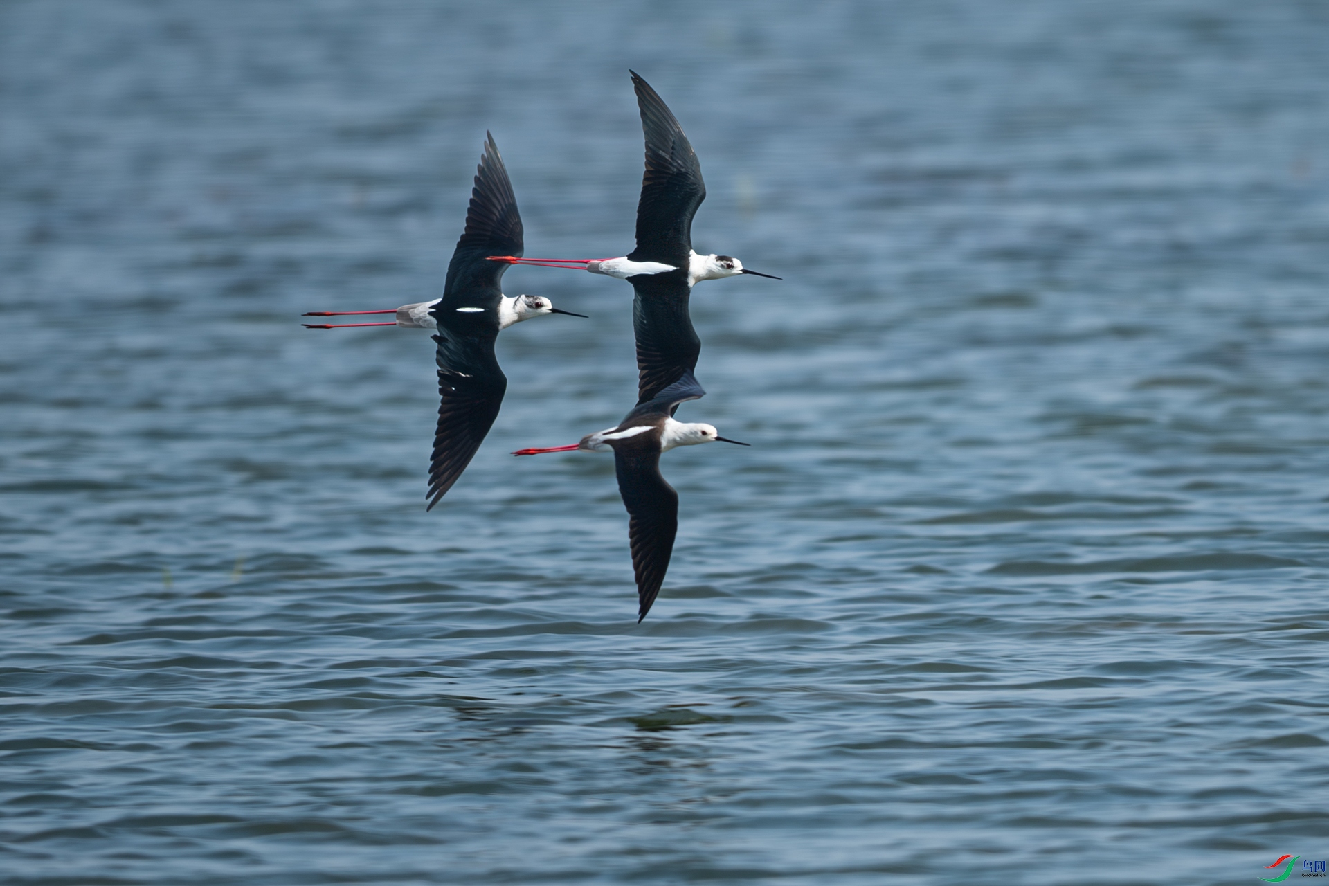 DSC_4645.jpg