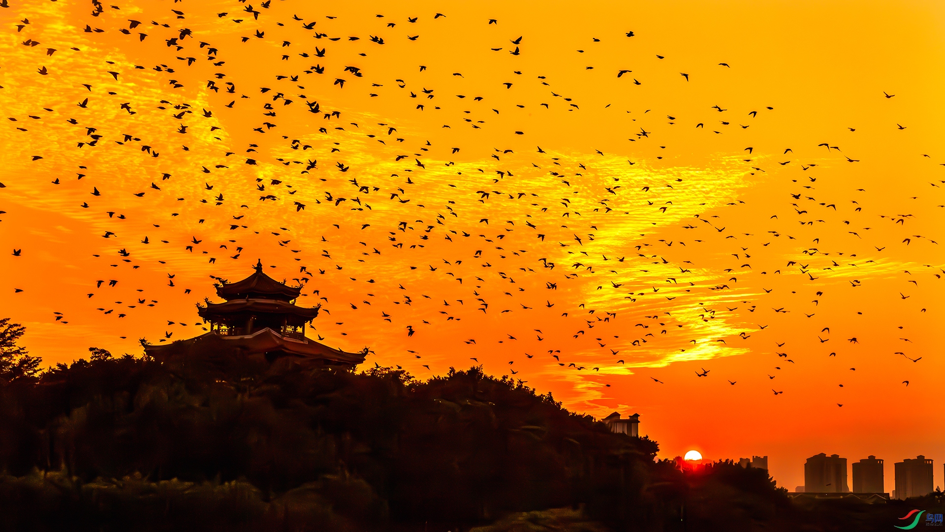 01���������ࣩ ����Ŀ����ӭϼ�͡��� 2023��11��07��������Ȫ��������԰ ����ǿ ����Ȫ�ݷ���������������28B 13599298168   ����.jpg