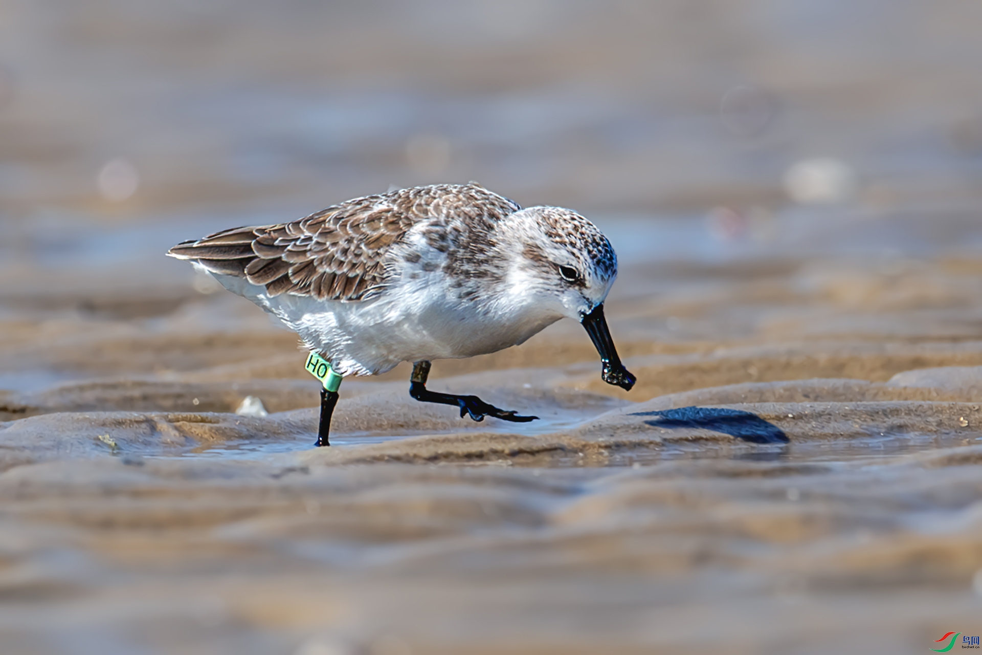 03������̬�ࣩ �������֡� 2025��11��14��������Ȫ�ݽ����𾮺��� ����ǿ ����Ȫ�ݷ���������������28B 13599298168 ����.jpg