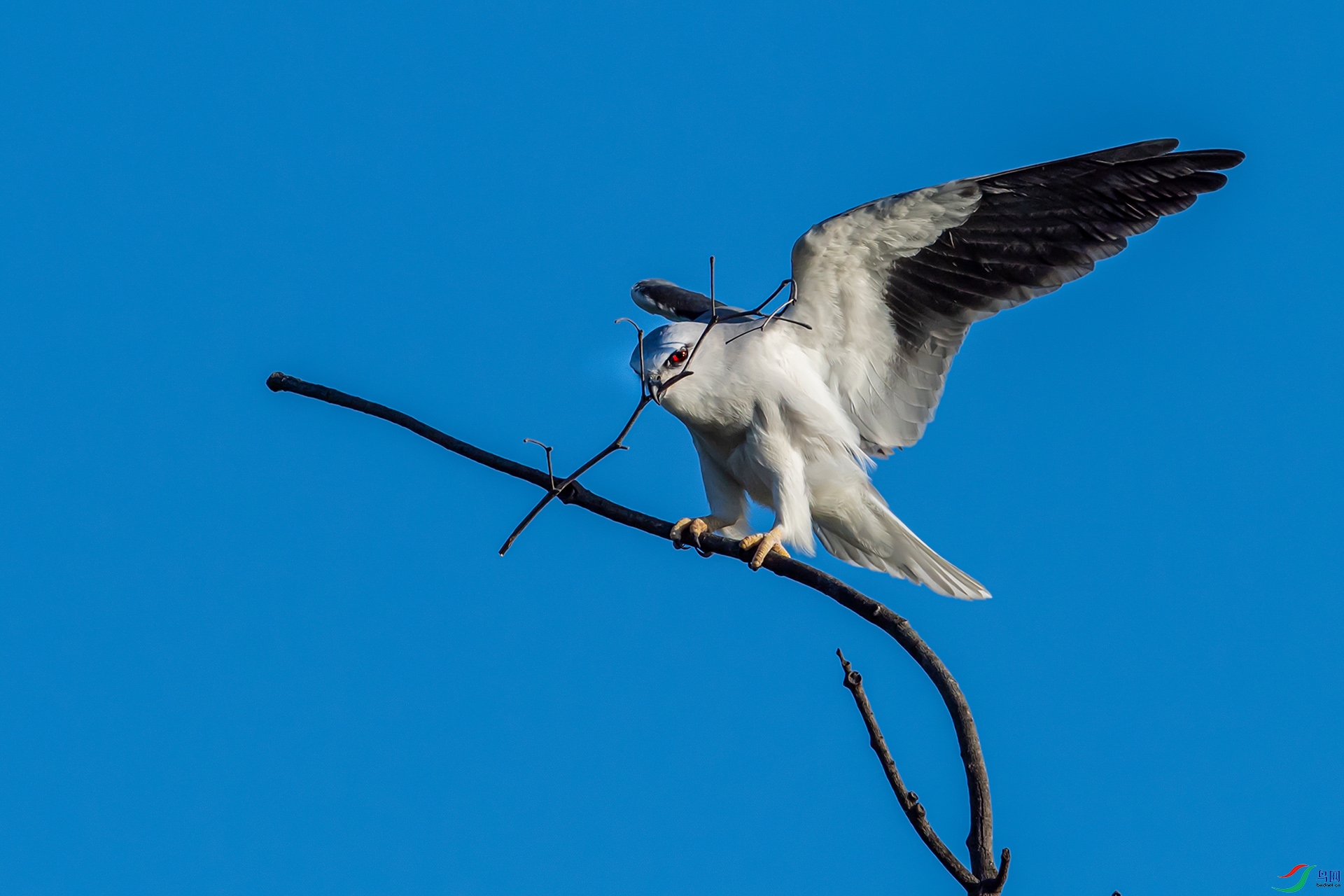 04������̬�ࣩ ���ڳ�𰡷���㽱 2021��09��24��������Ȫ��ʯʨʪ�ع�԰ ����ǿ ����Ȫ�ݷ���������������28B 13599298168   ����.jpg