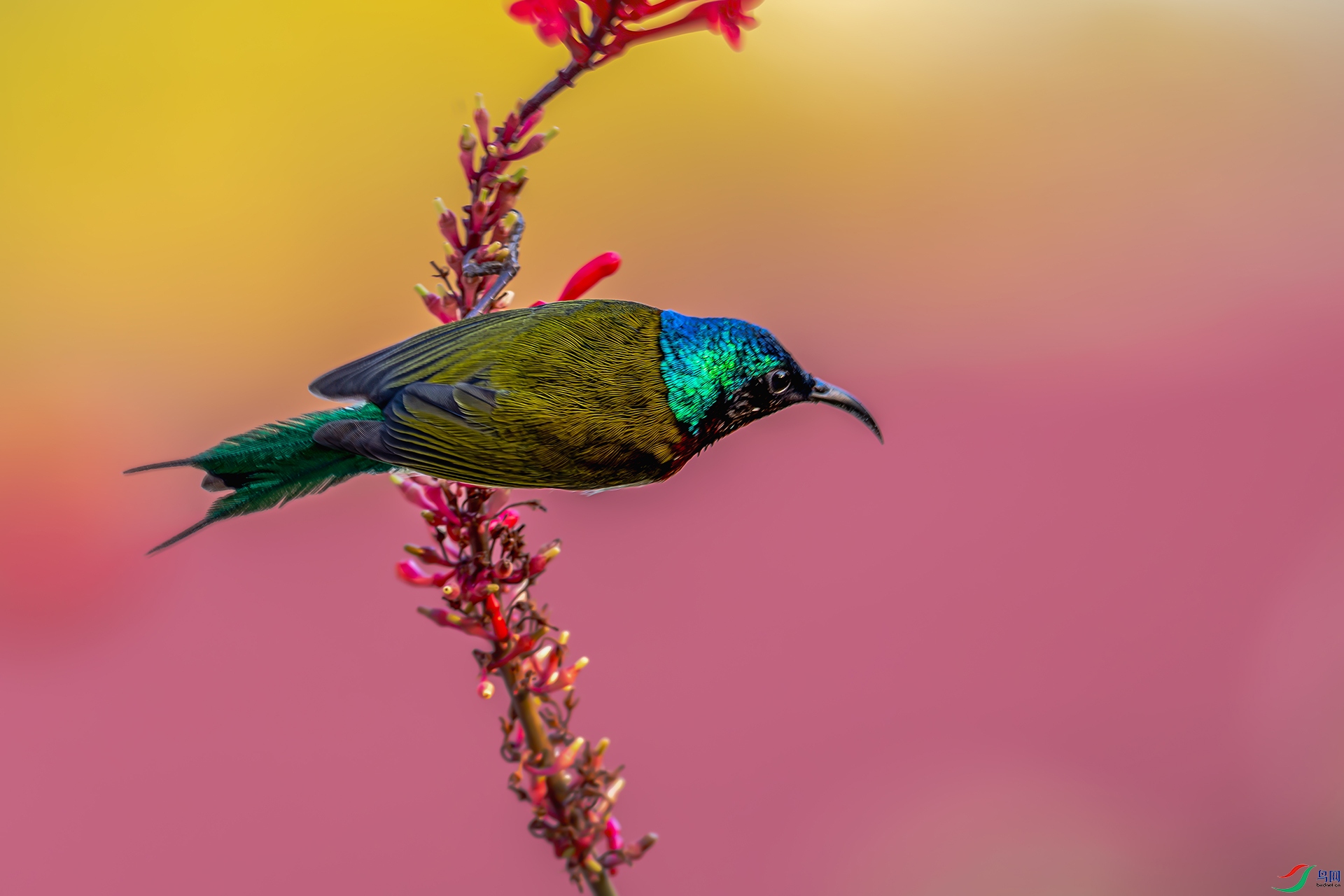 06���������ࣩ ����β̫�������㽱 2025��12��10��������Ȫ�ݱ�ɺ��԰ ����ǿ ����Ȫ�ݷ���������������28B 13599298168 ����.jpg