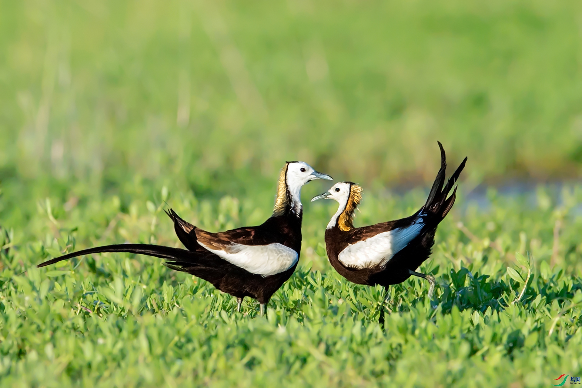 10���������ࣩ ��ˮ�����ס����㽱 2022��08��11��������Ȫ�ݽ�����ӿ� ����ǿ ����Ȫ�ݷ���������������28B 13599298168  ����.jpg