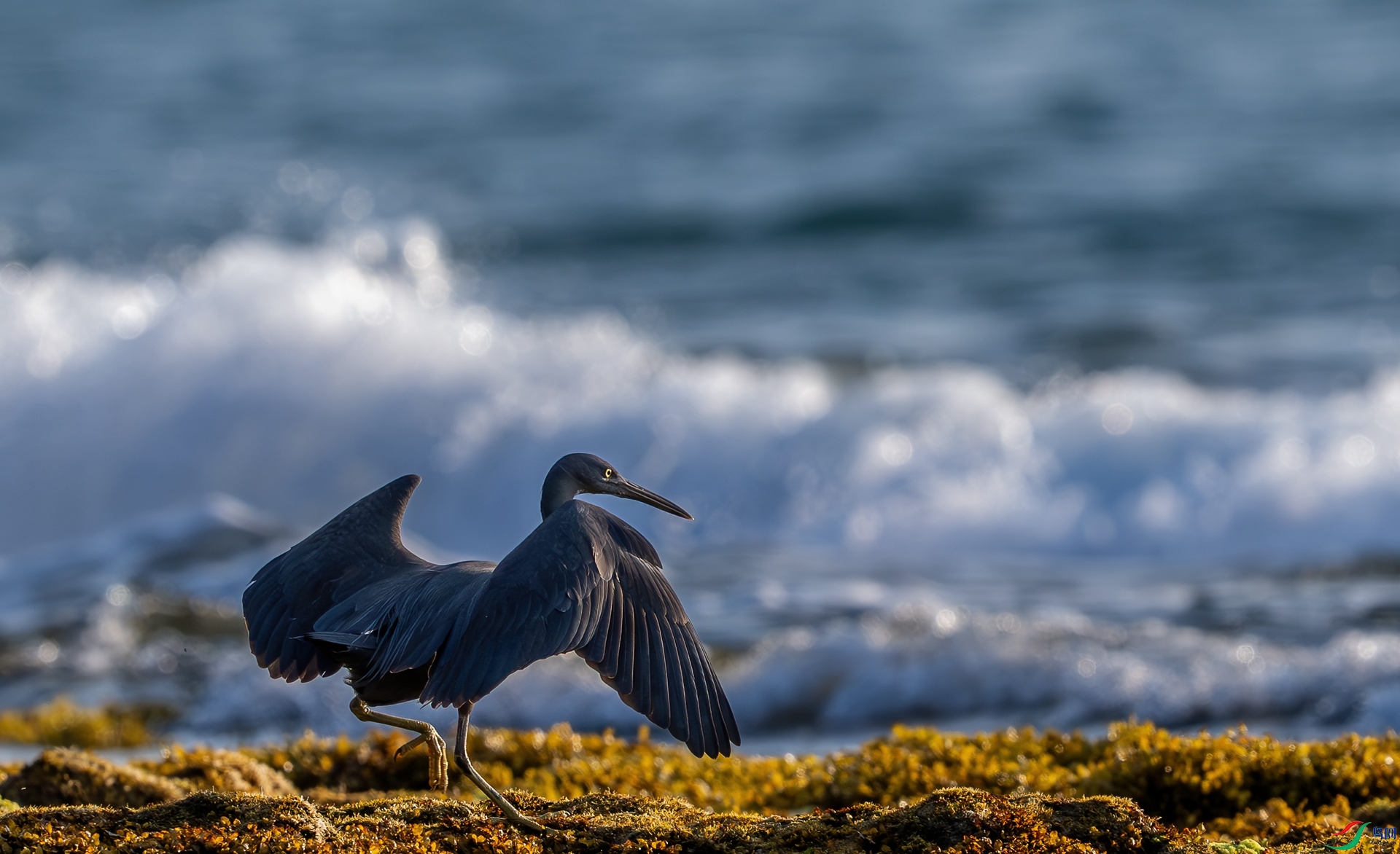DSC_6362.jpg