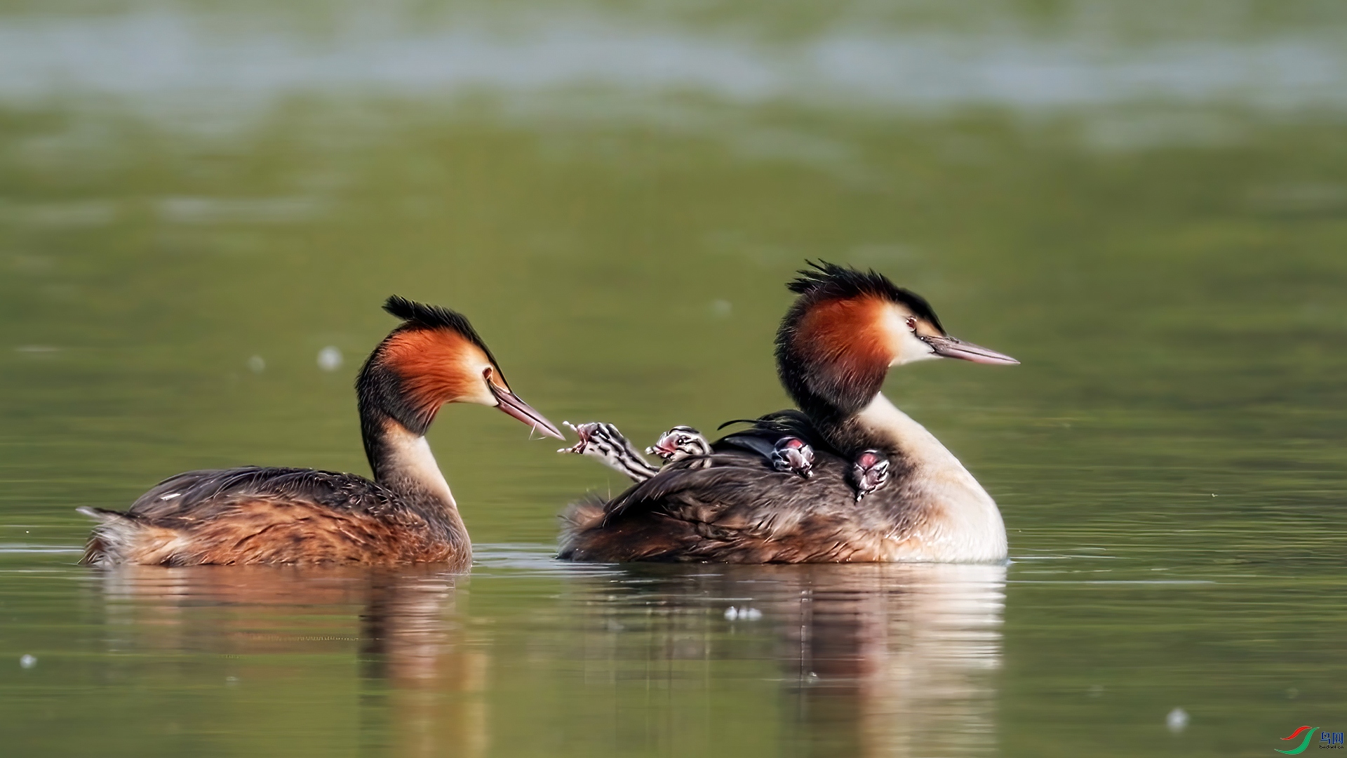 ��֡ 2026-04-06 210511_1.1.jpg