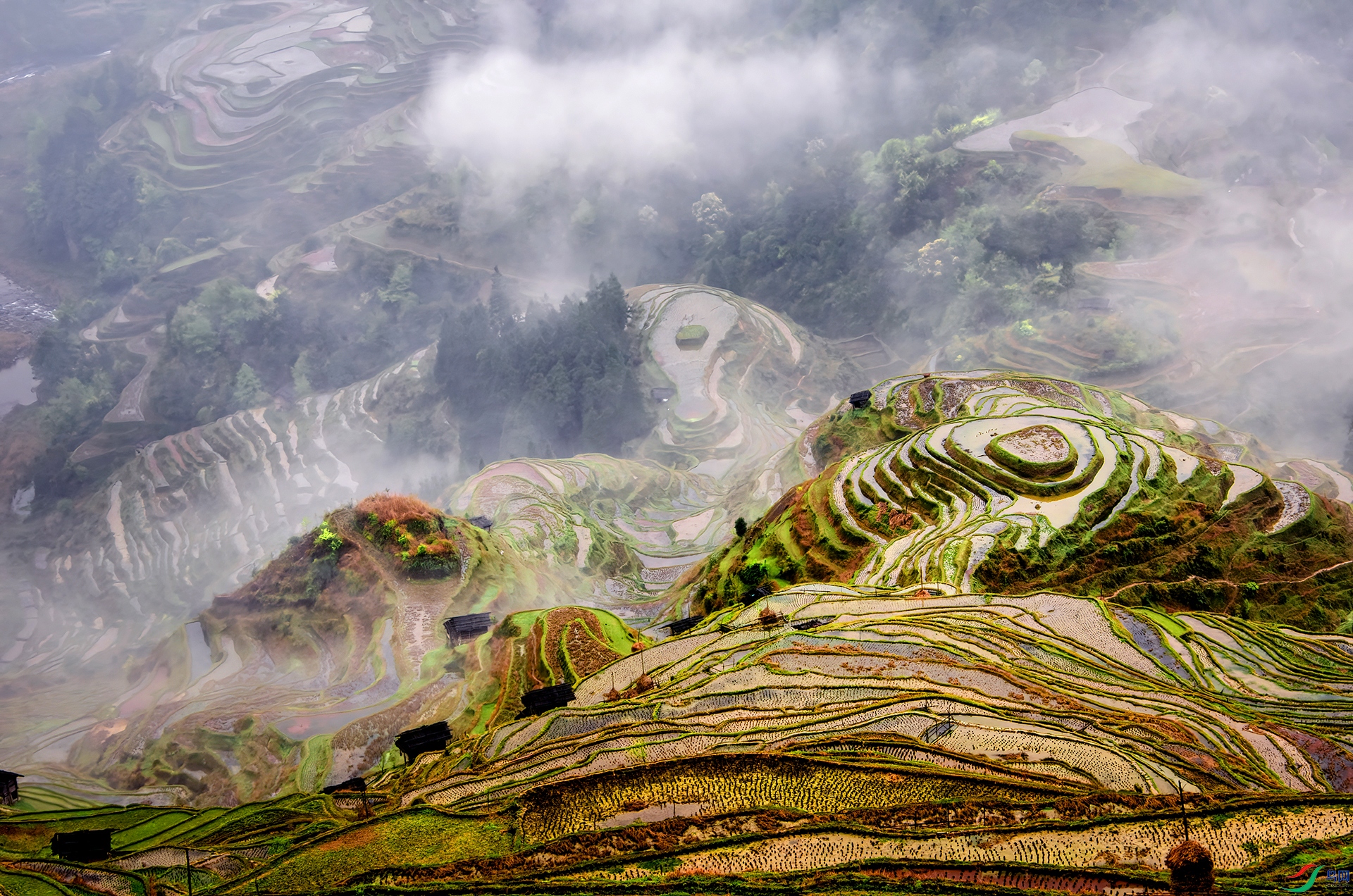 DSC_2483- �Ӱ����� - AAA.jpg