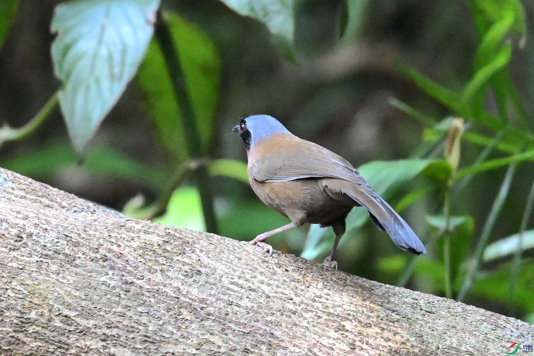DSC_7457.JPG