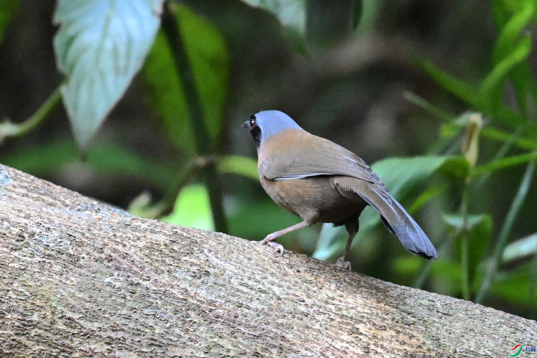 DSC_7459.JPG