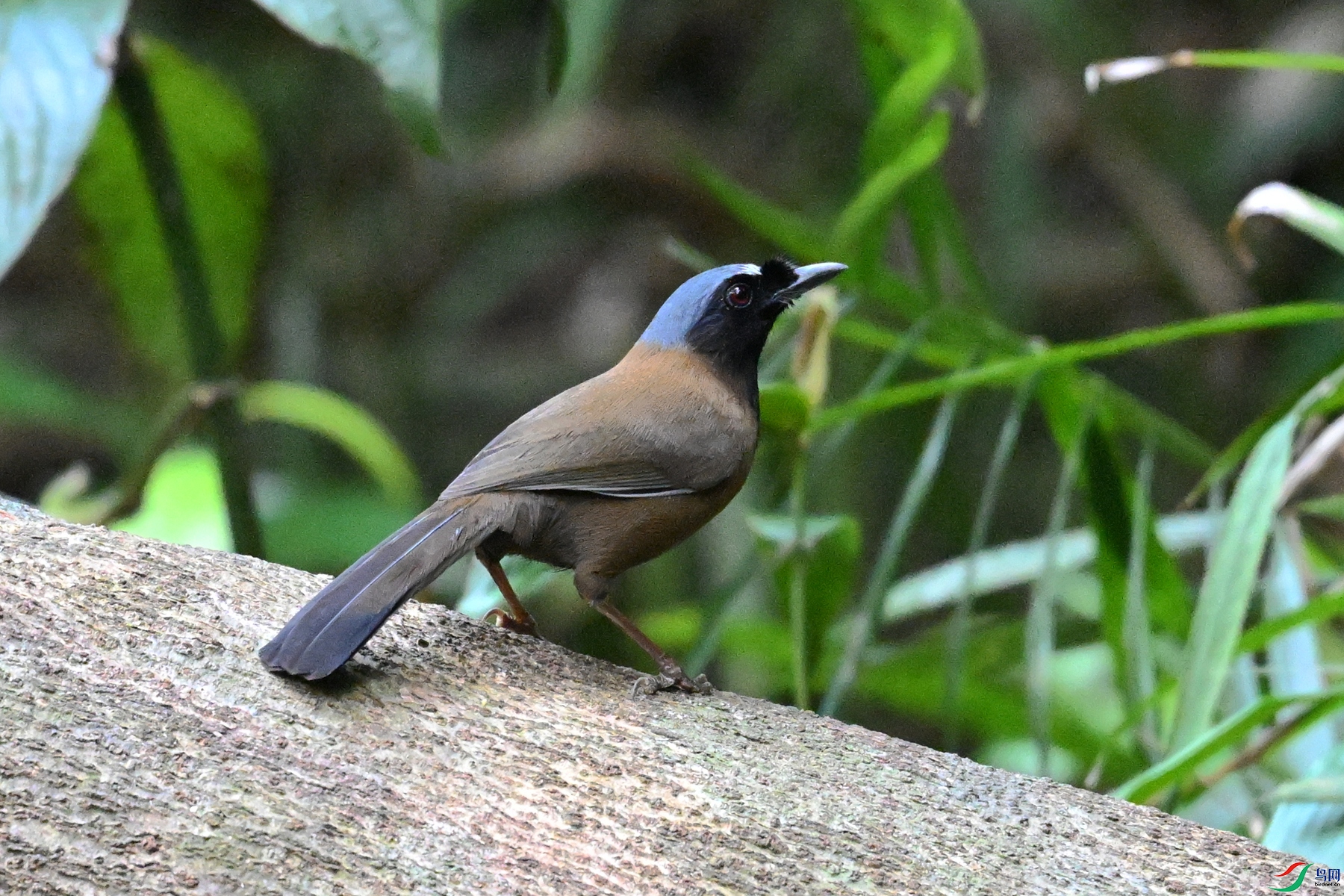DSC_7461.JPG