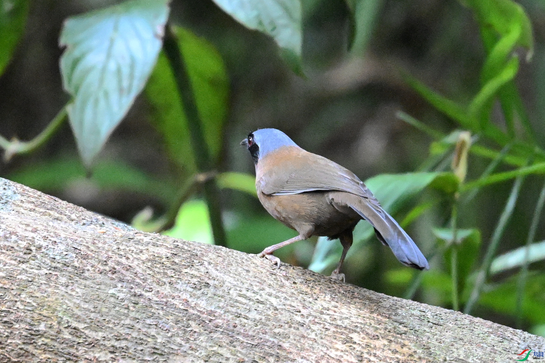 DSC_7458.JPG
