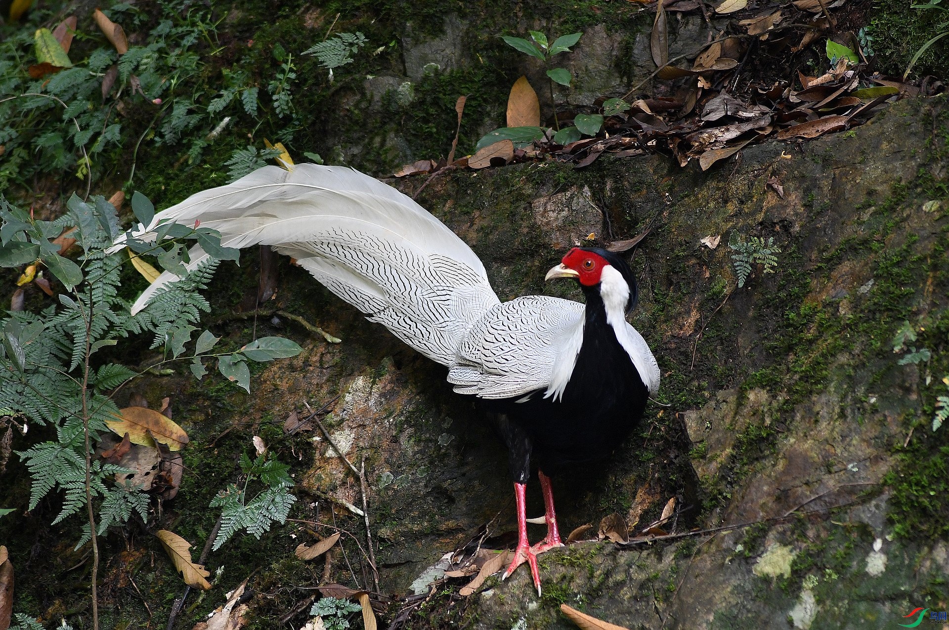 DSC_1241.jpg