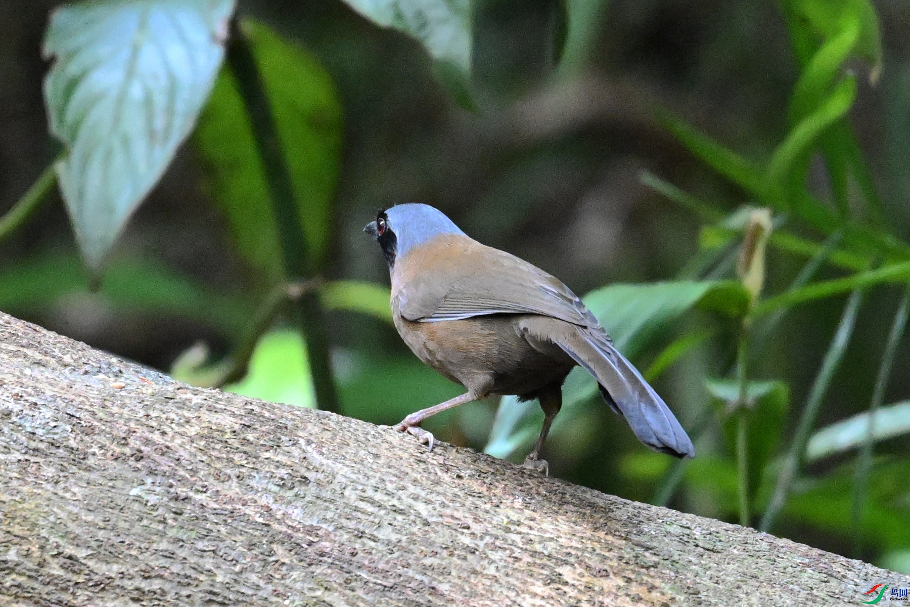 DSC_7460.JPG