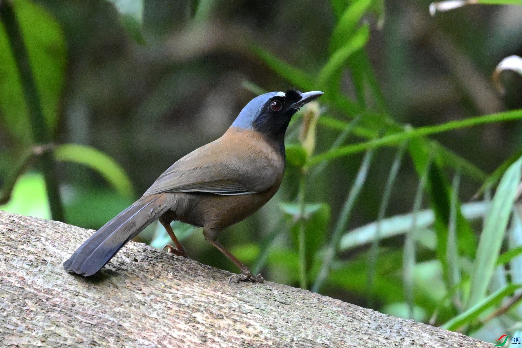 DSC_7462.JPG