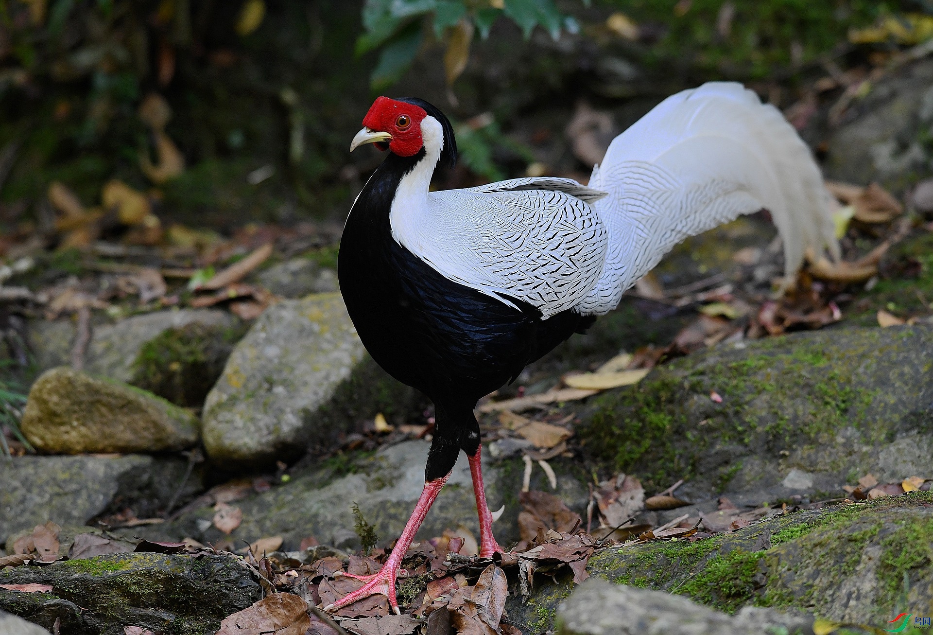 DSC_1856.jpg