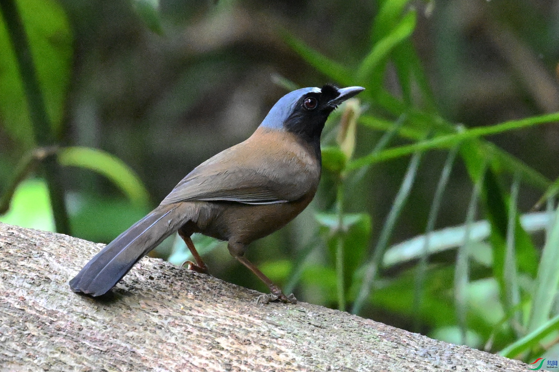 DSC_7463.JPG