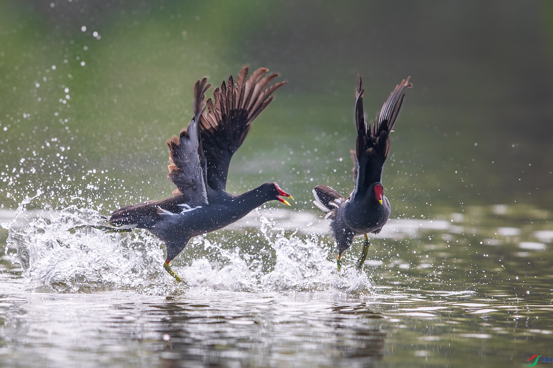 BU3I2418 ����.jpg