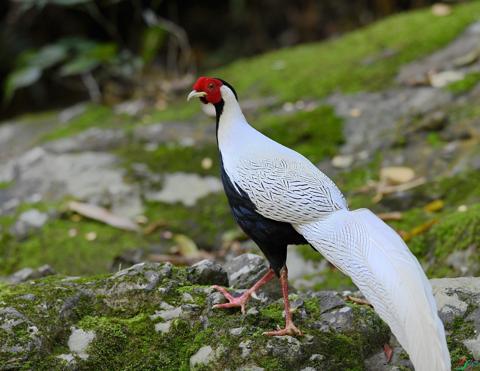 DSC_1865.jpg