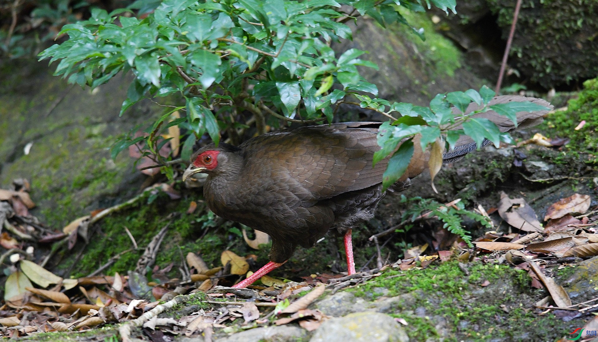 DSC_2101.jpg