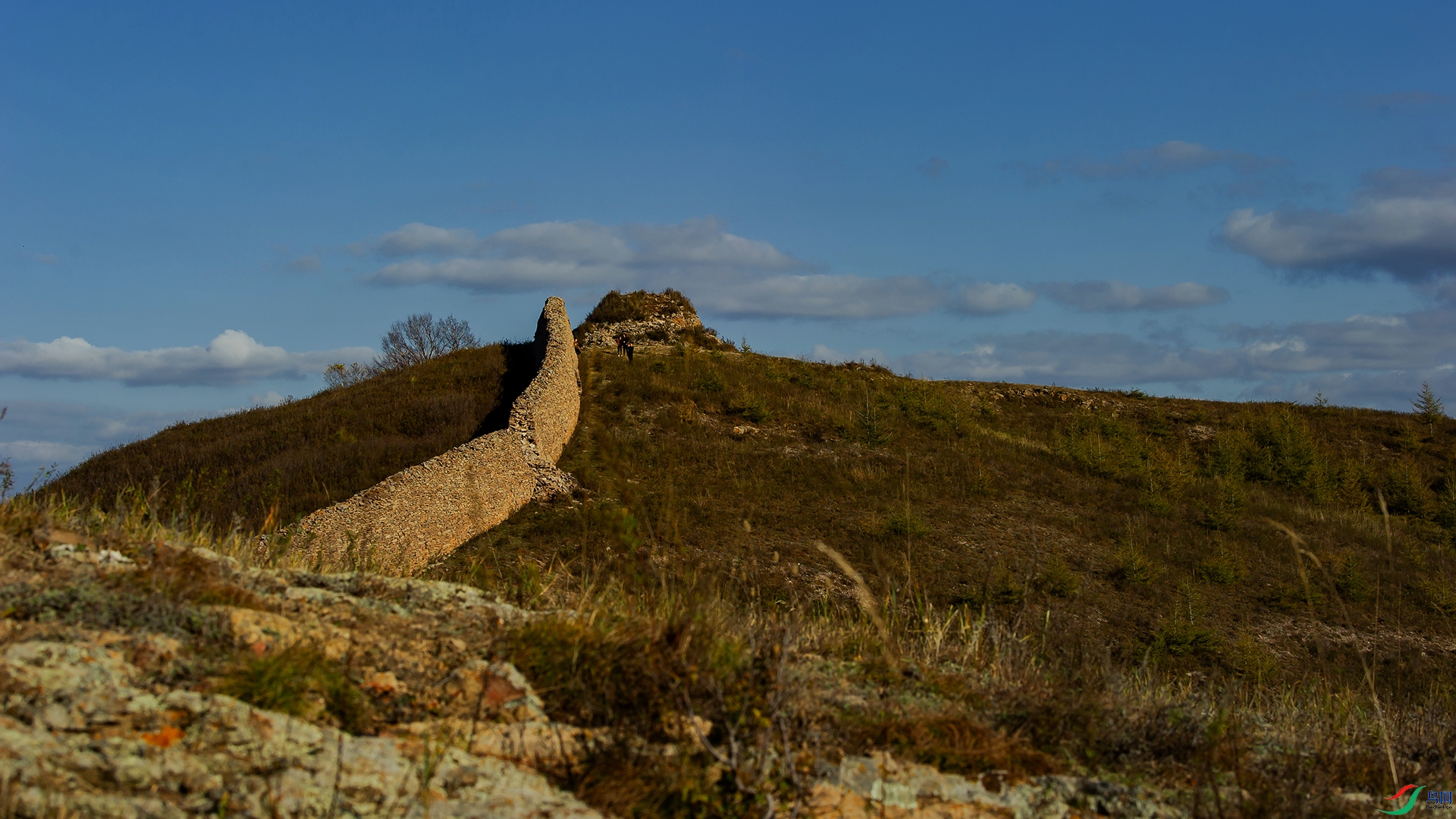 _DSC2859-20211025�ü�.jpg
