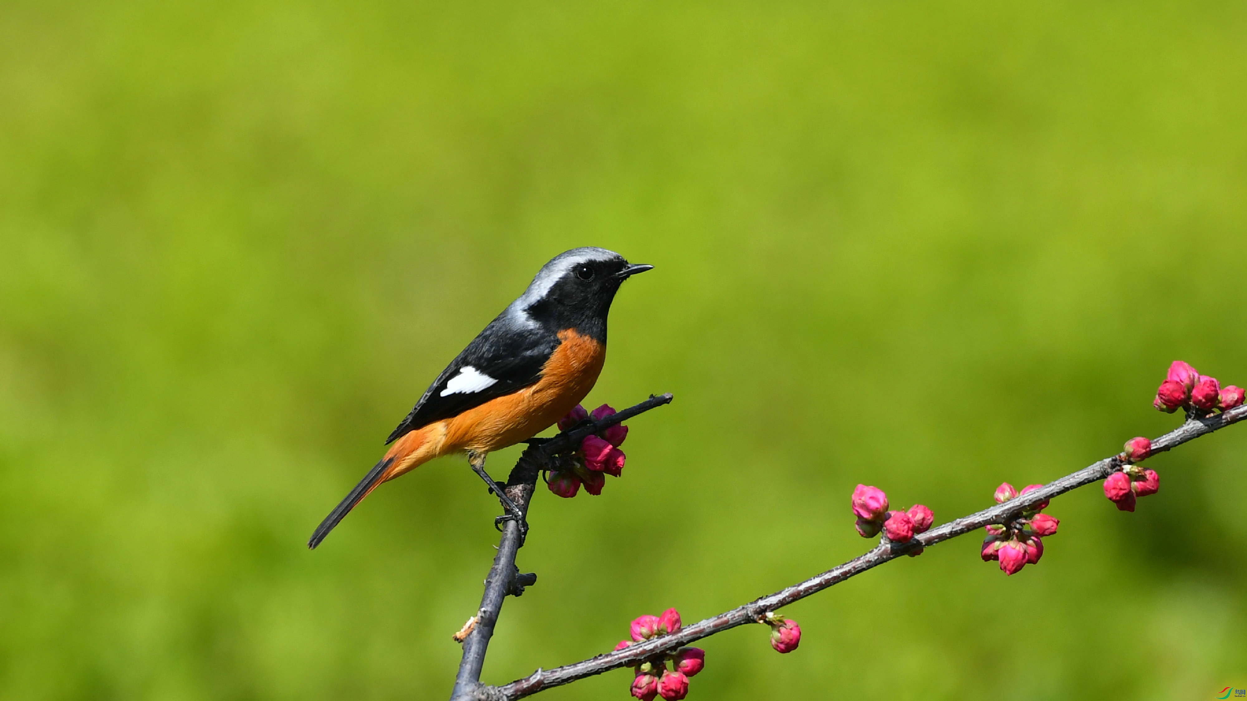 DSC_7939.JPG