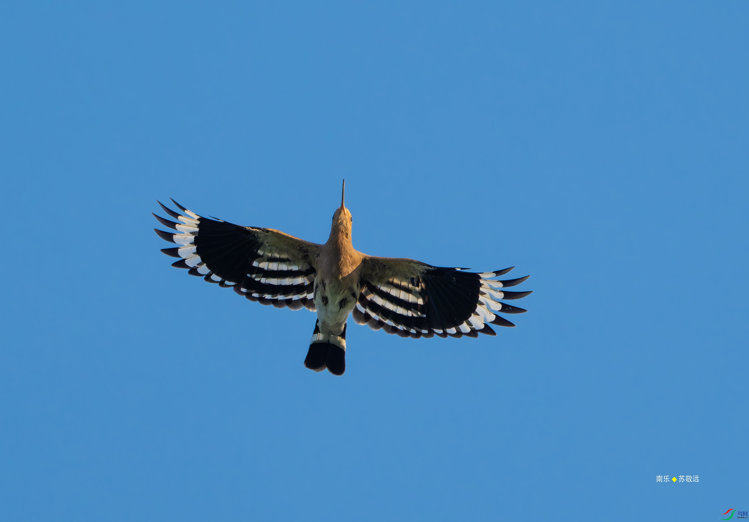 _DSC6301-DxO_С.jpg