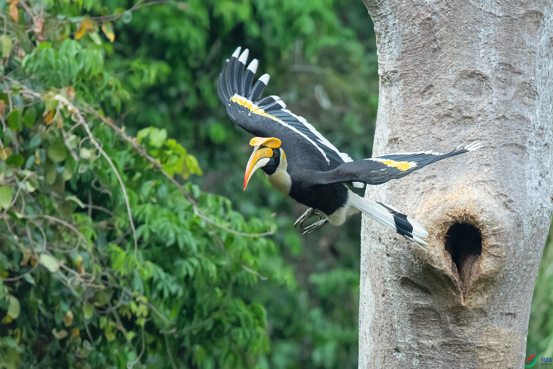 DSC_9810_DxOa.jpg